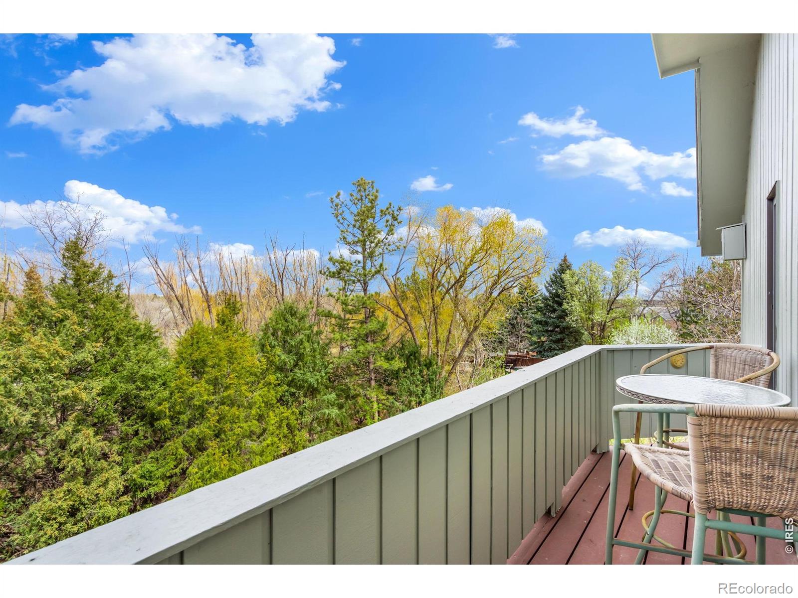 MLS Image #29 for 516  spring canyon court,fort collins, Colorado