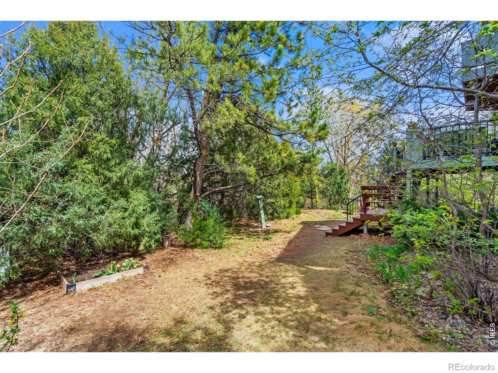 MLS Image #40 for 516  spring canyon court,fort collins, Colorado