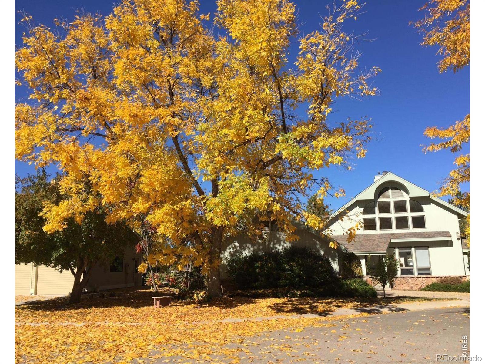 MLS Image #45 for 516  spring canyon court,fort collins, Colorado
