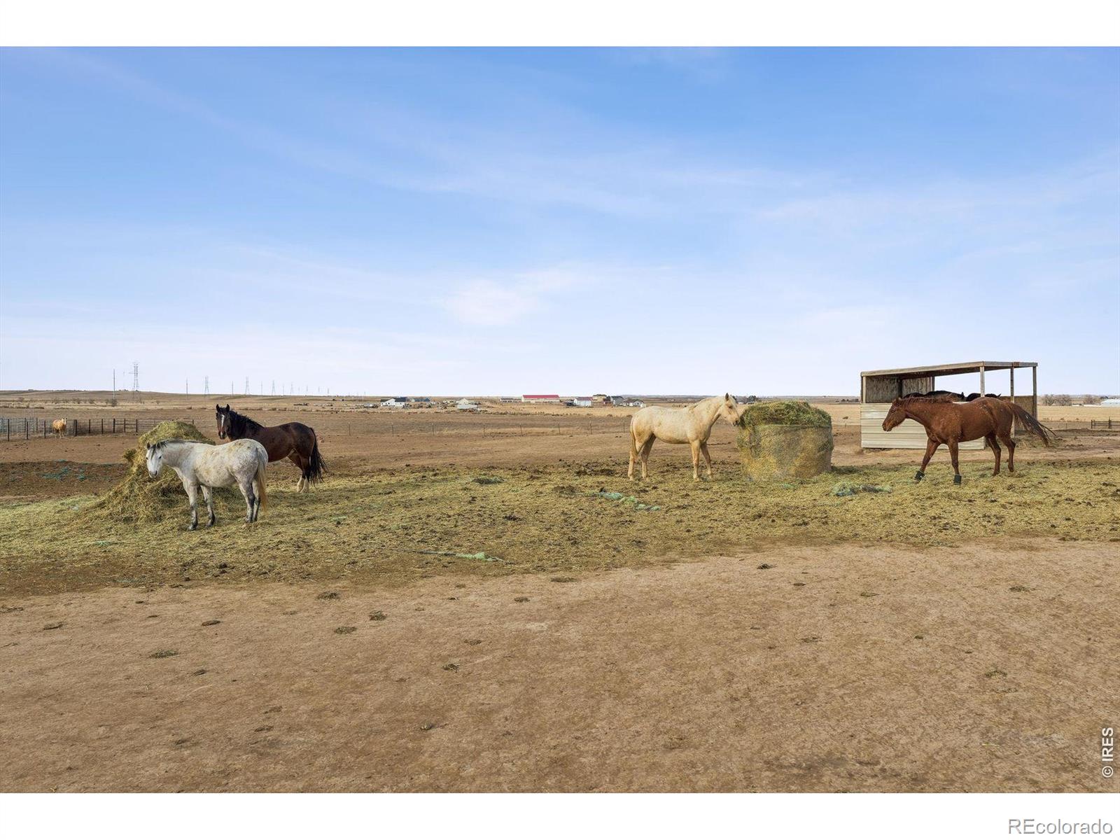 MLS Image #31 for 13013  county road 86 ,pierce, Colorado