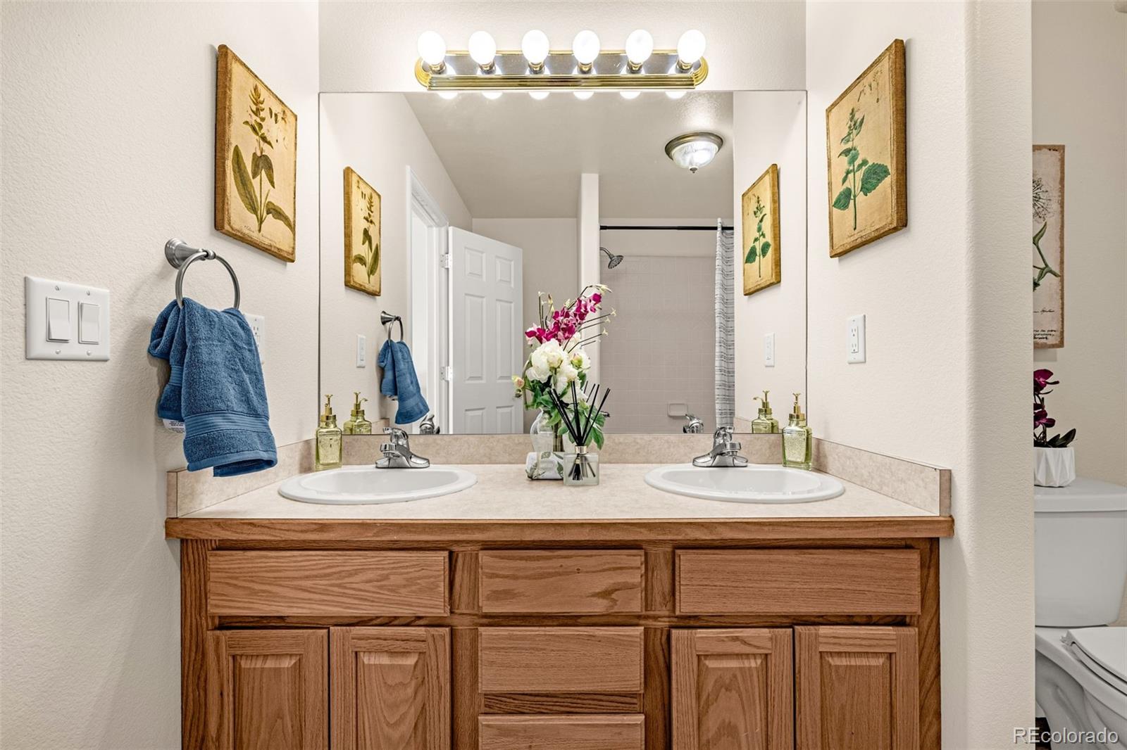 MLS Image #18 for 5205  mountain villa grove ,colorado springs, Colorado