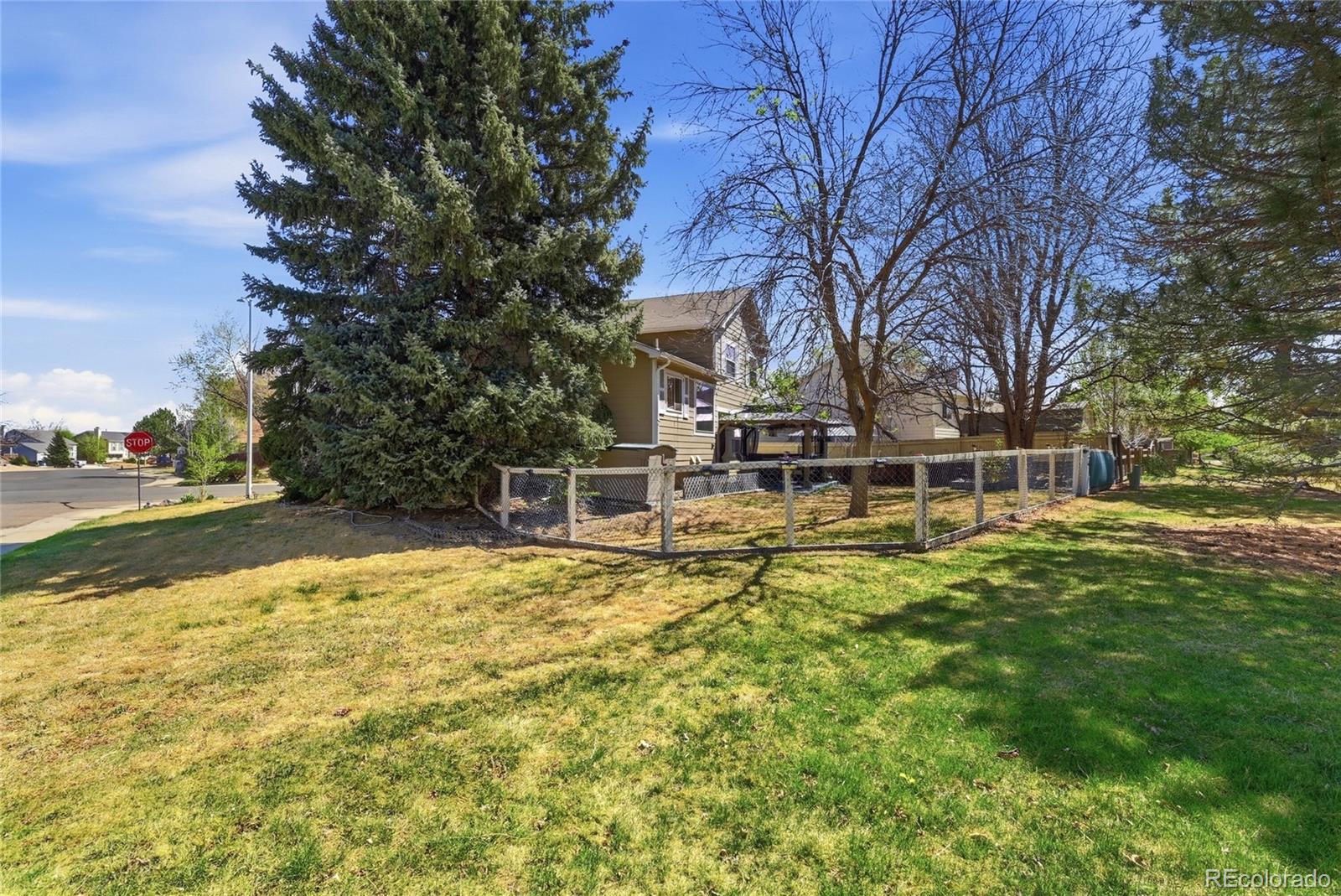 MLS Image #17 for 12651  hazel street,broomfield, Colorado