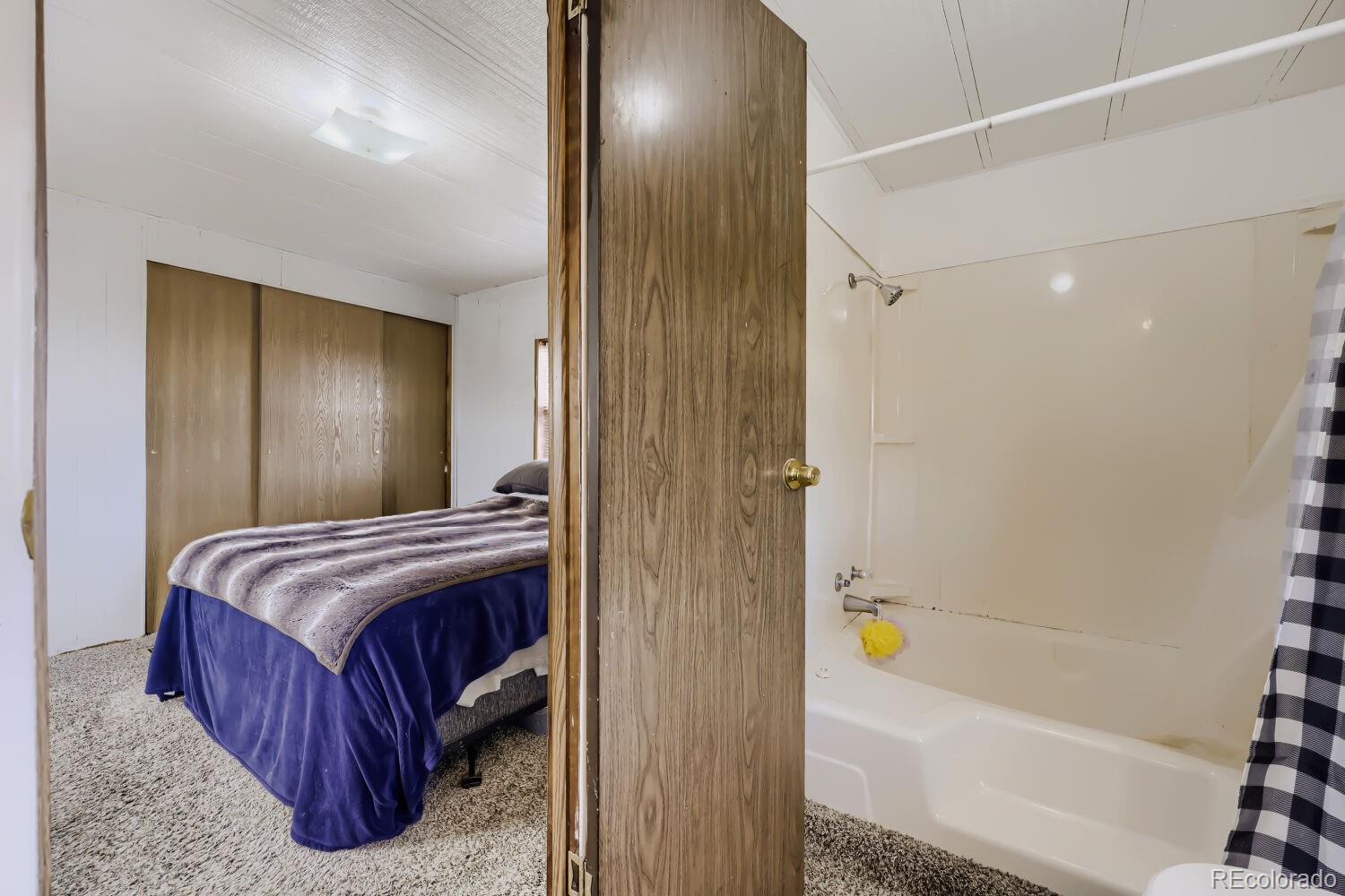 MLS Image #10 for 1030  macdavidson circle,dacono, Colorado
