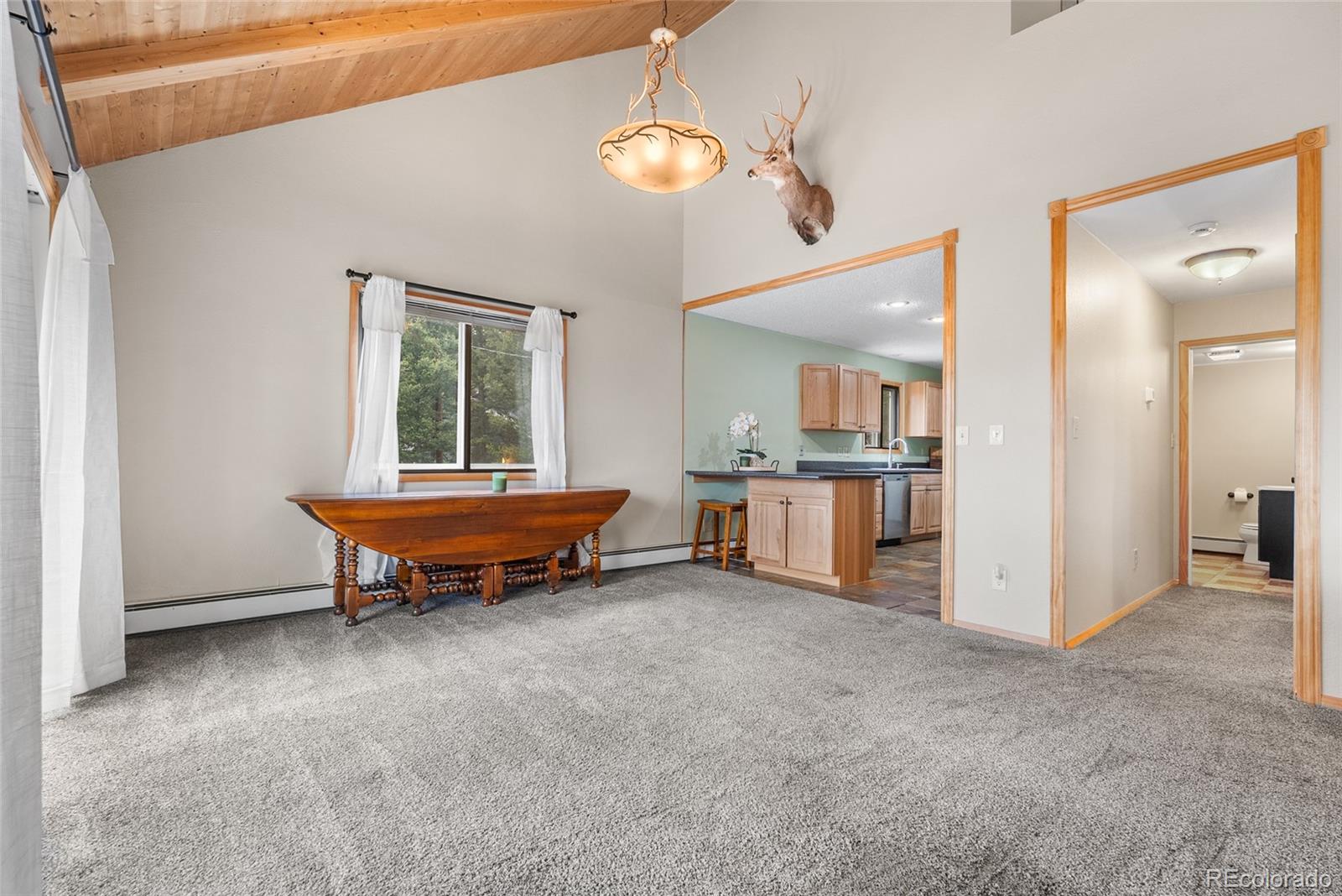MLS Image #15 for 30915  walter drive,conifer, Colorado