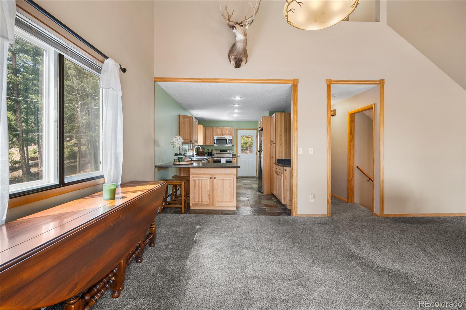 MLS Image #16 for 30915  walter drive,conifer, Colorado