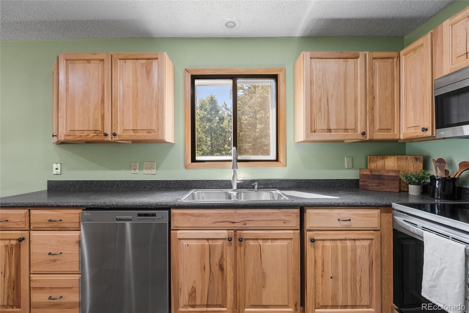 MLS Image #19 for 30915  walter drive,conifer, Colorado