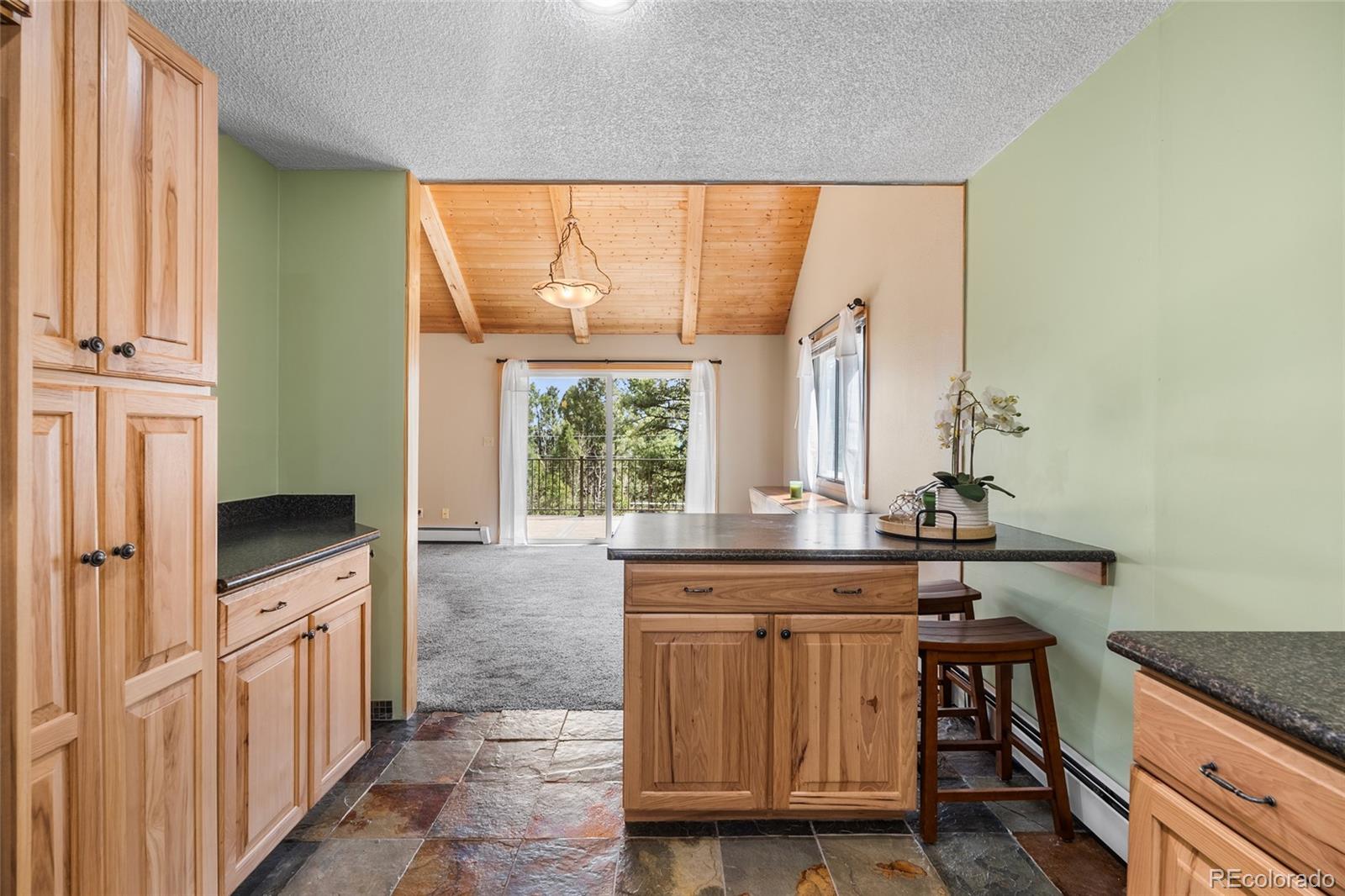 MLS Image #20 for 30915  walter drive,conifer, Colorado
