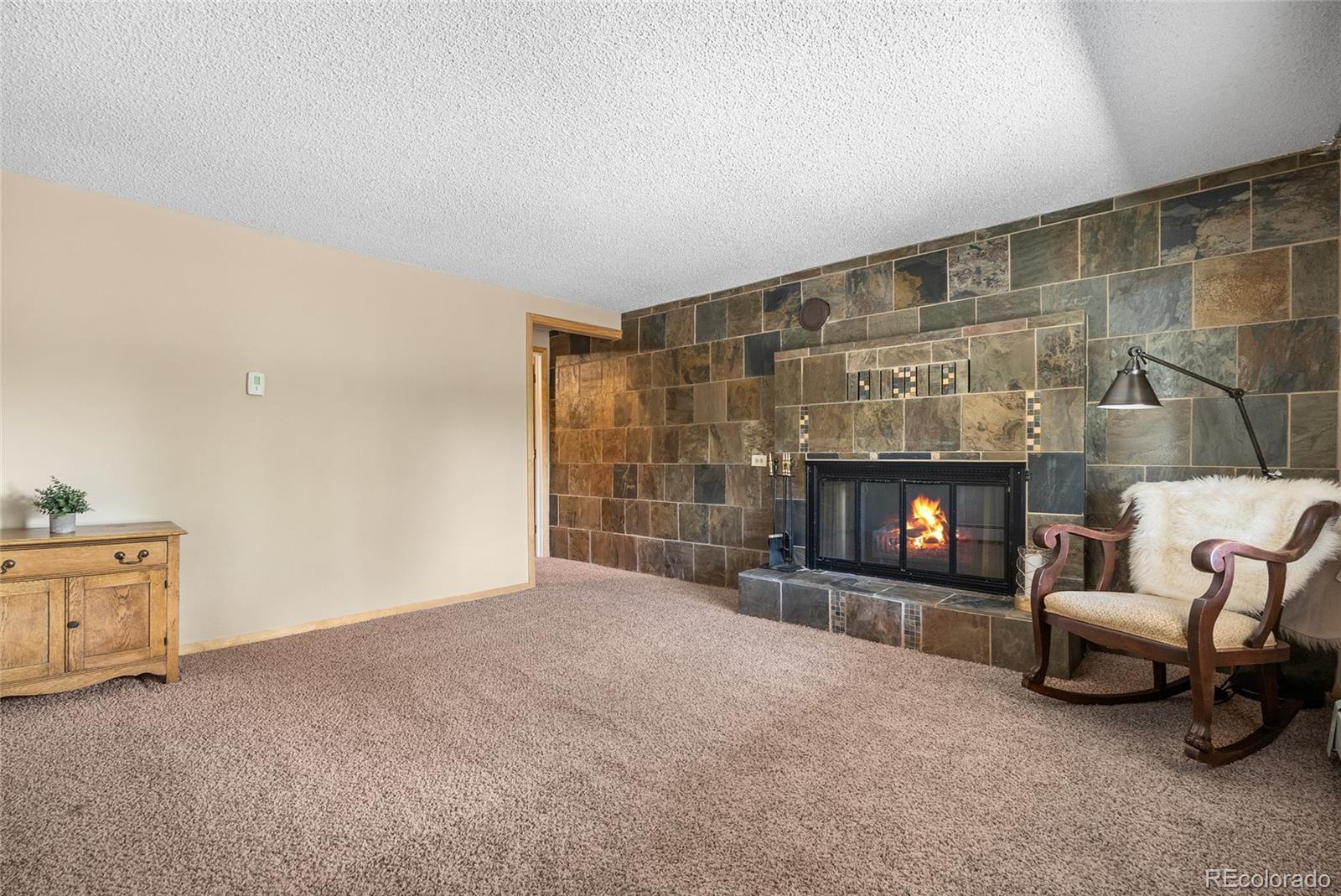 MLS Image #32 for 30915  walter drive,conifer, Colorado