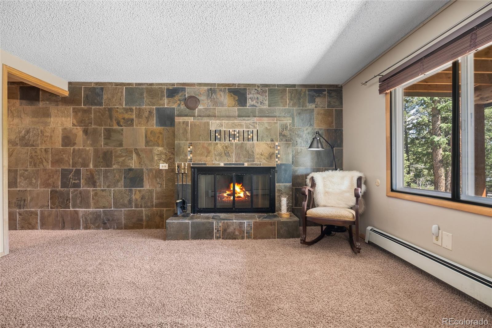 MLS Image #33 for 30915  walter drive,conifer, Colorado