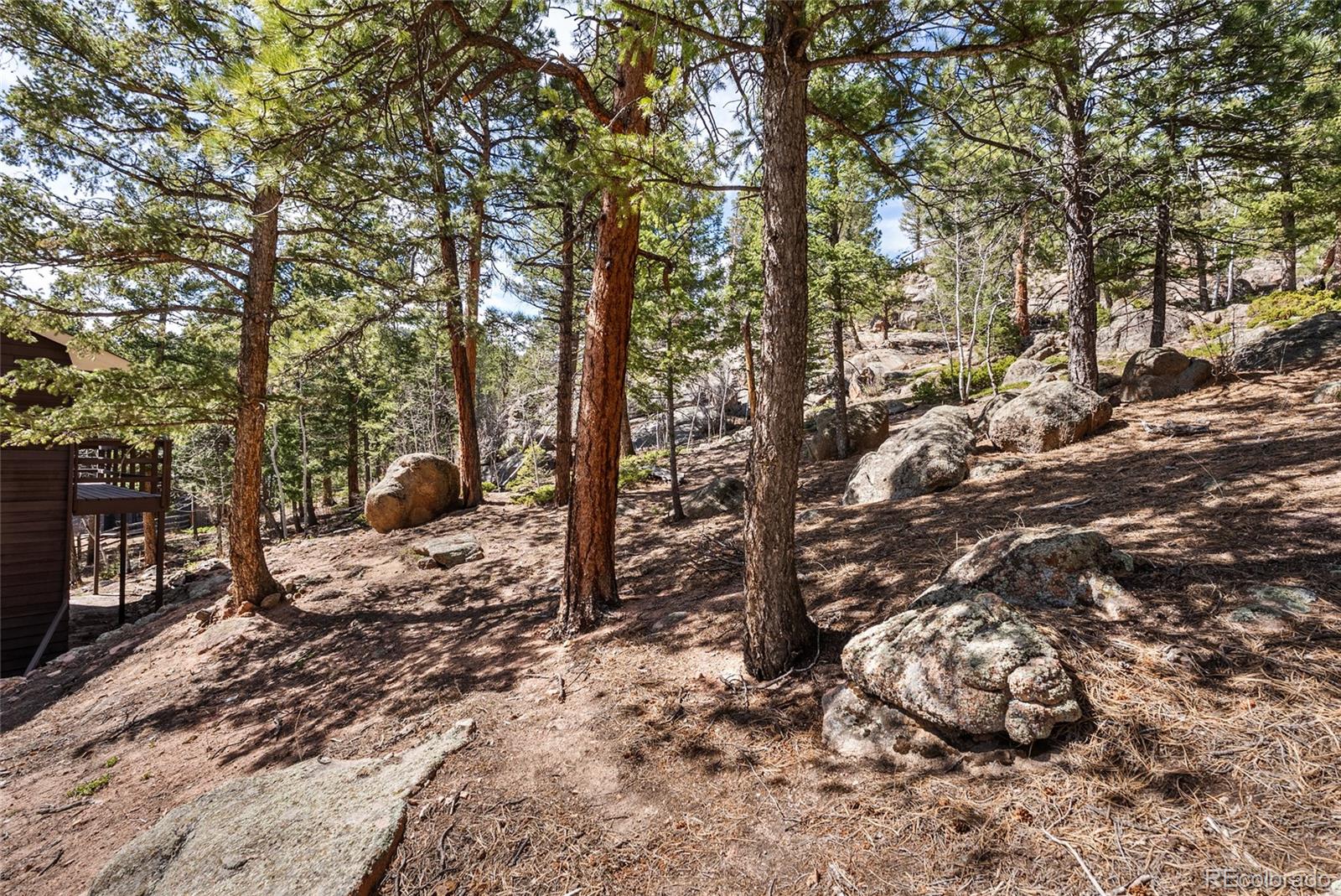 MLS Image #40 for 30915  walter drive,conifer, Colorado
