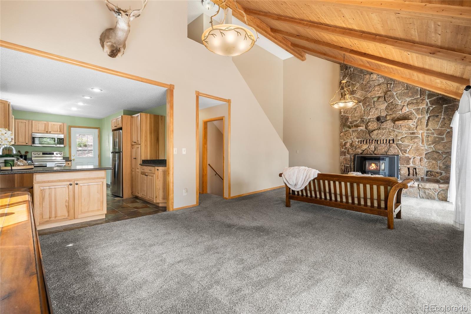 MLS Image #8 for 30915  walter drive,conifer, Colorado