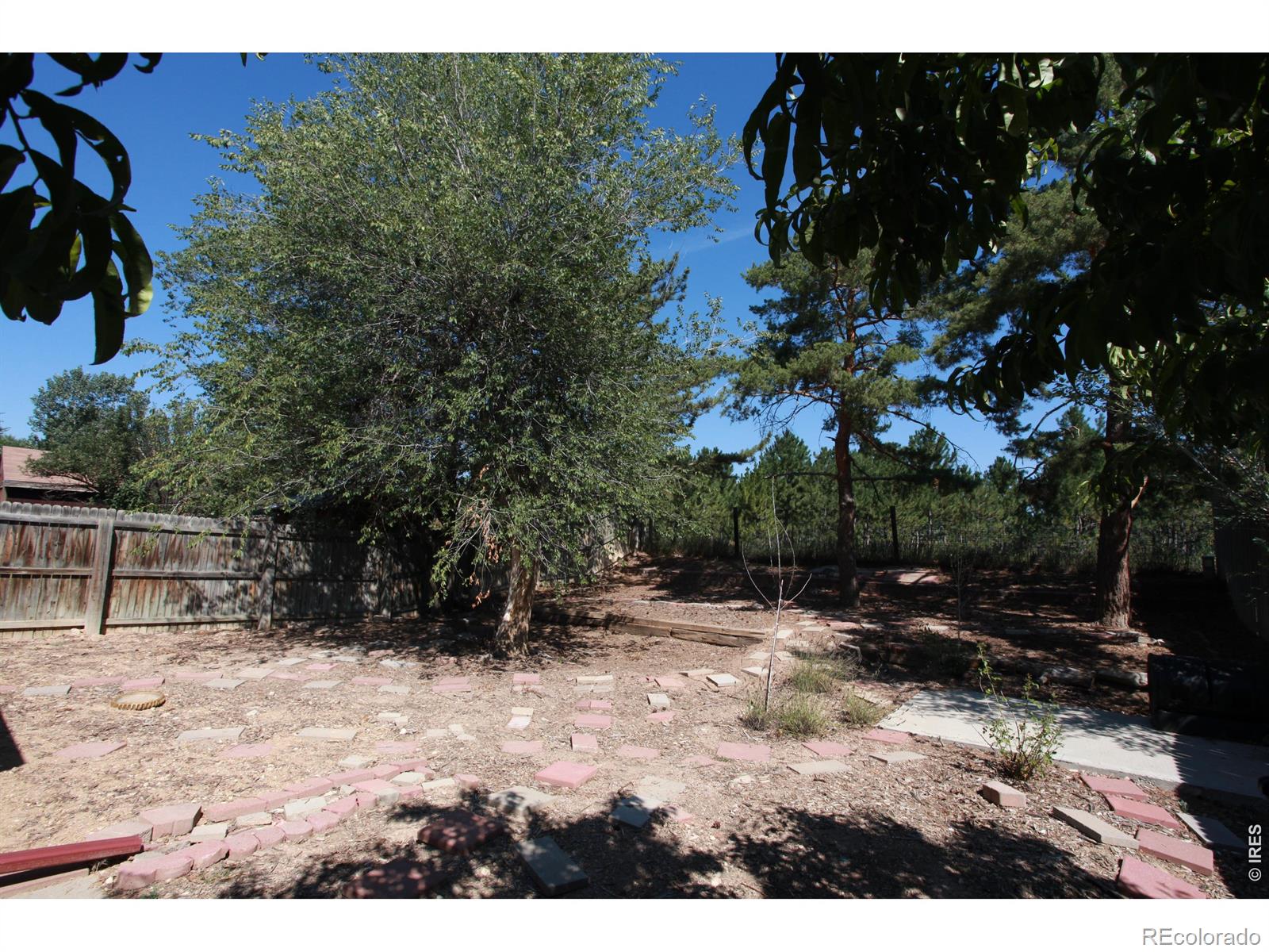 MLS Image #10 for 2908 w olive street,fort collins, Colorado