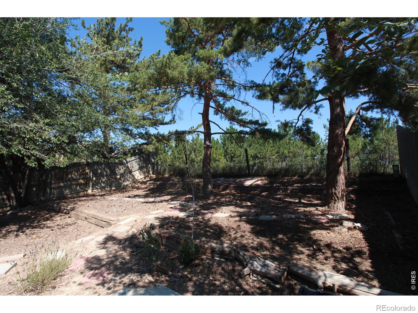 MLS Image #11 for 2908 w olive street,fort collins, Colorado