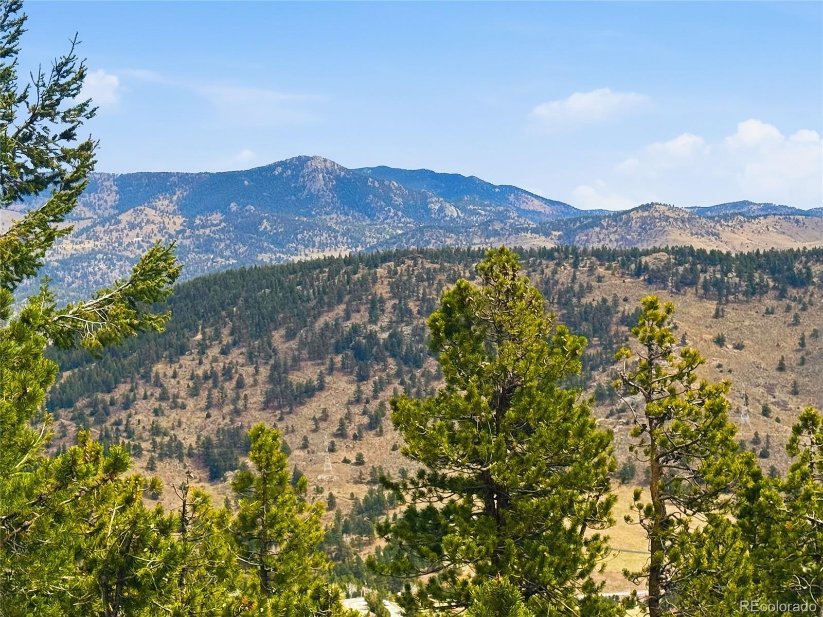 MLS Image #37 for 1832  aspen drive,evergreen, Colorado