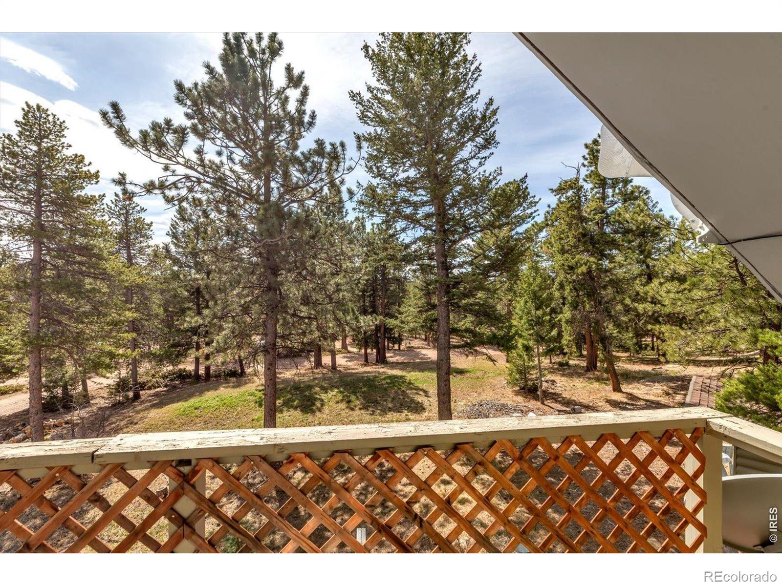 MLS Image #10 for 81  tilghman road,ward, Colorado