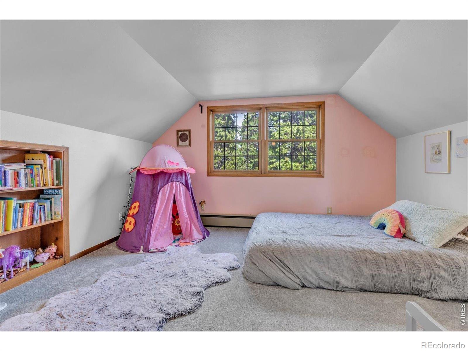 MLS Image #12 for 81  tilghman road,ward, Colorado