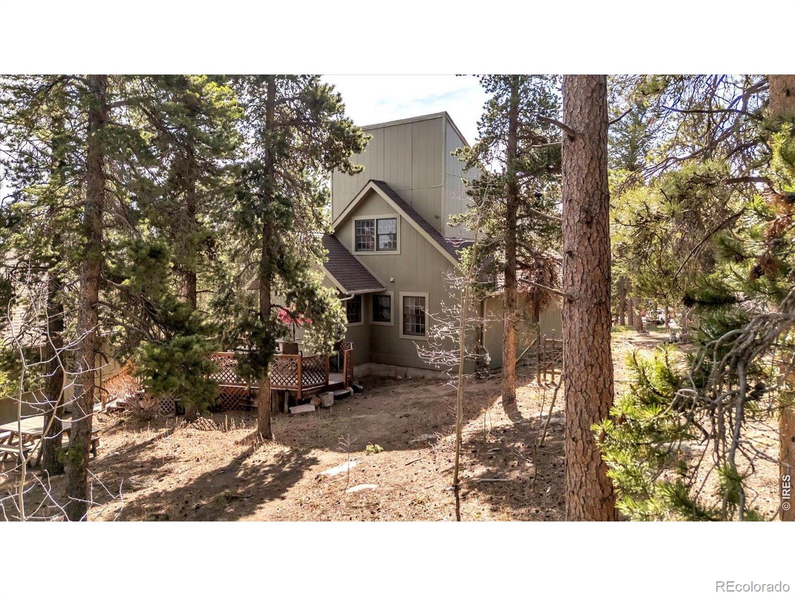 MLS Image #24 for 81  tilghman road,ward, Colorado
