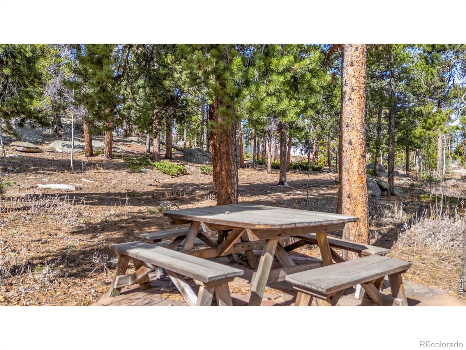 MLS Image #26 for 81  tilghman road,ward, Colorado