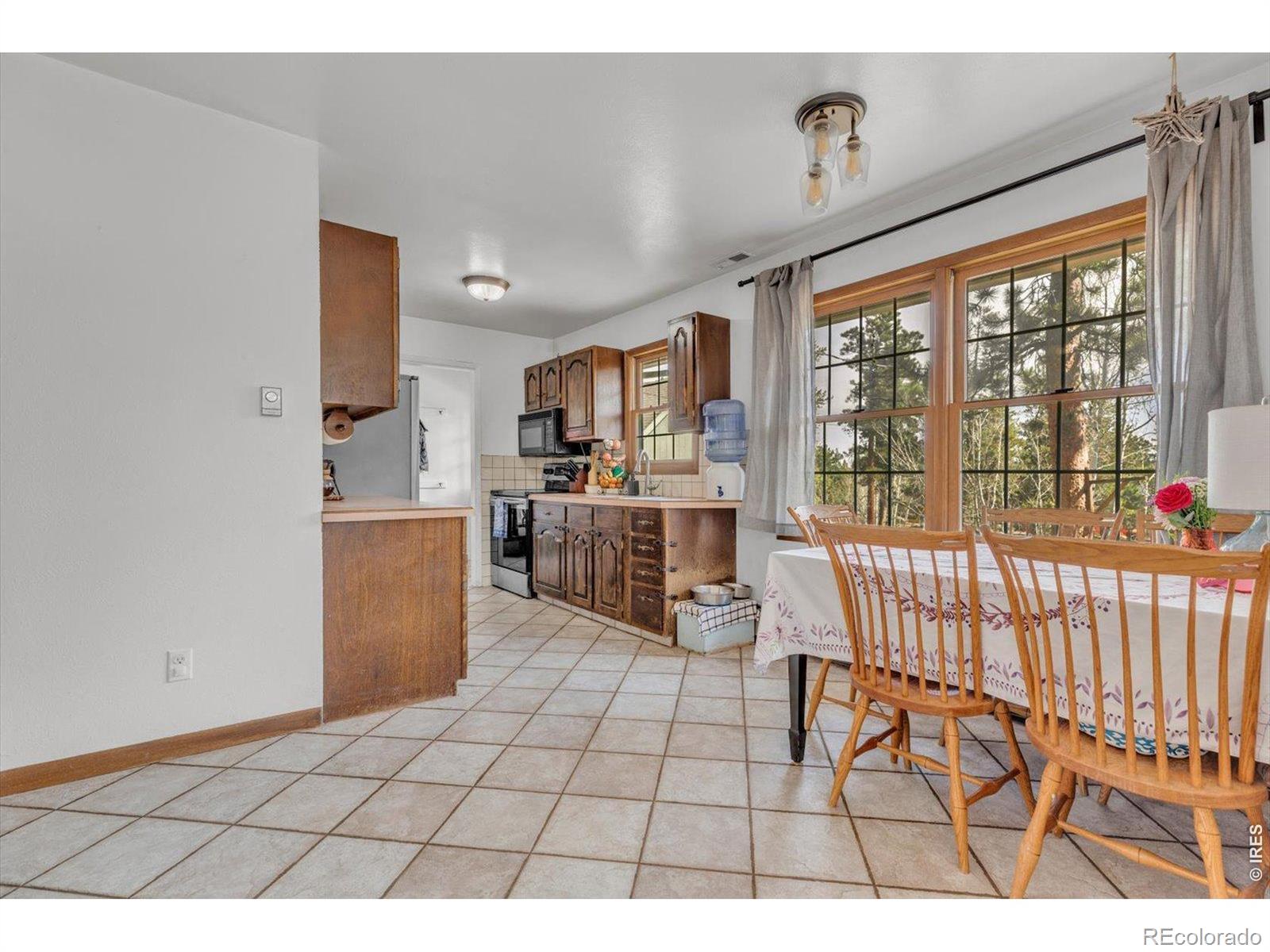 MLS Image #6 for 81  tilghman road,ward, Colorado