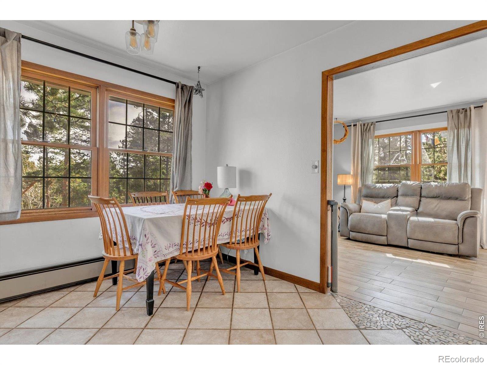MLS Image #7 for 81  tilghman road,ward, Colorado