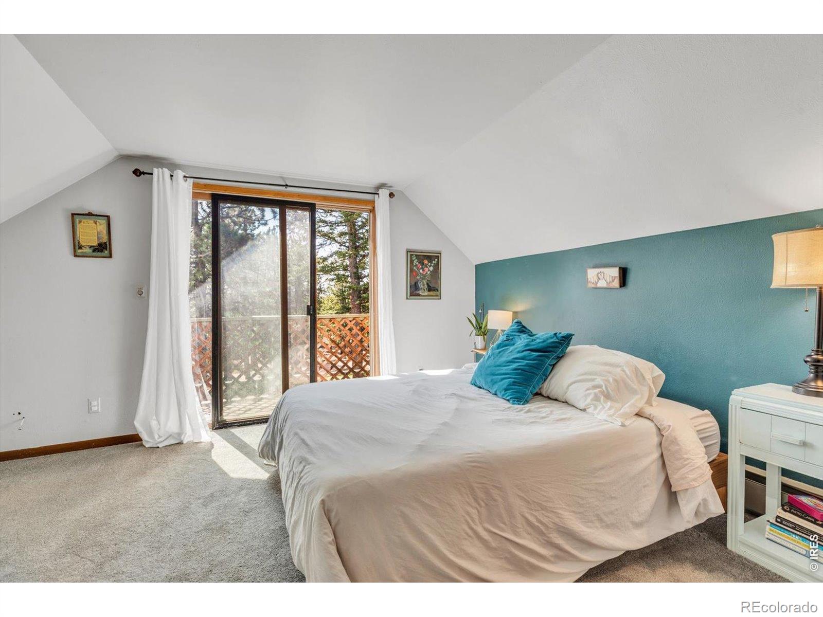 MLS Image #9 for 81  tilghman road,ward, Colorado