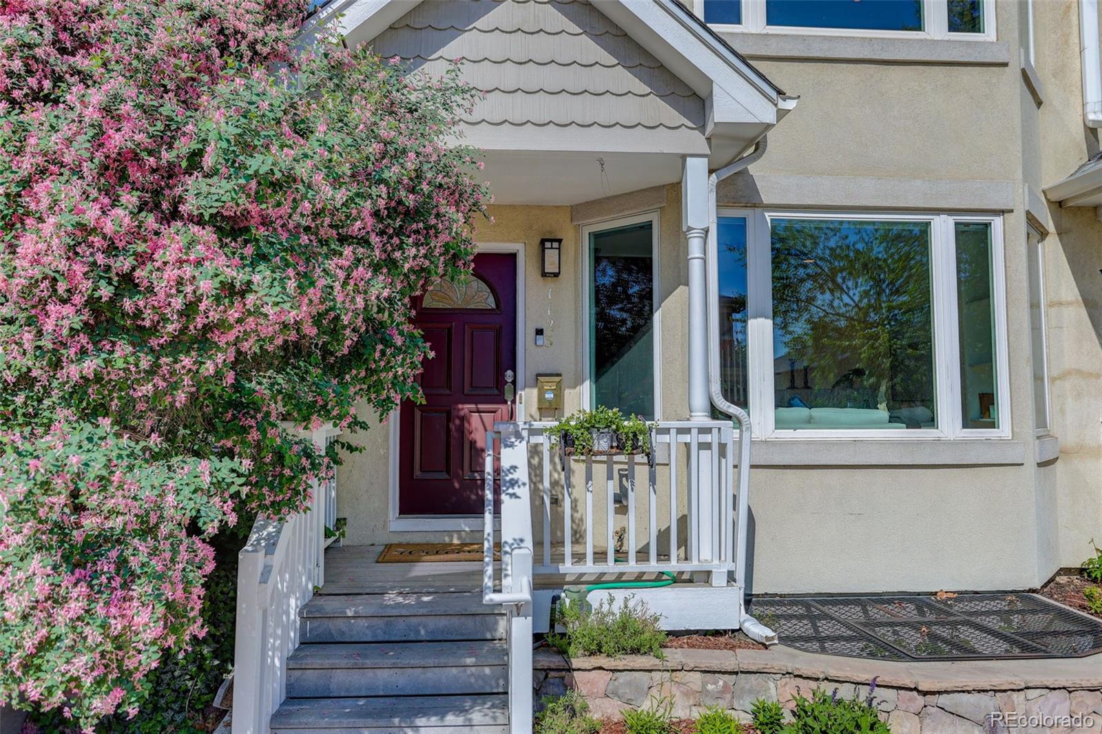 MLS Image #1 for 1123 n elizabeth street ,denver, Colorado