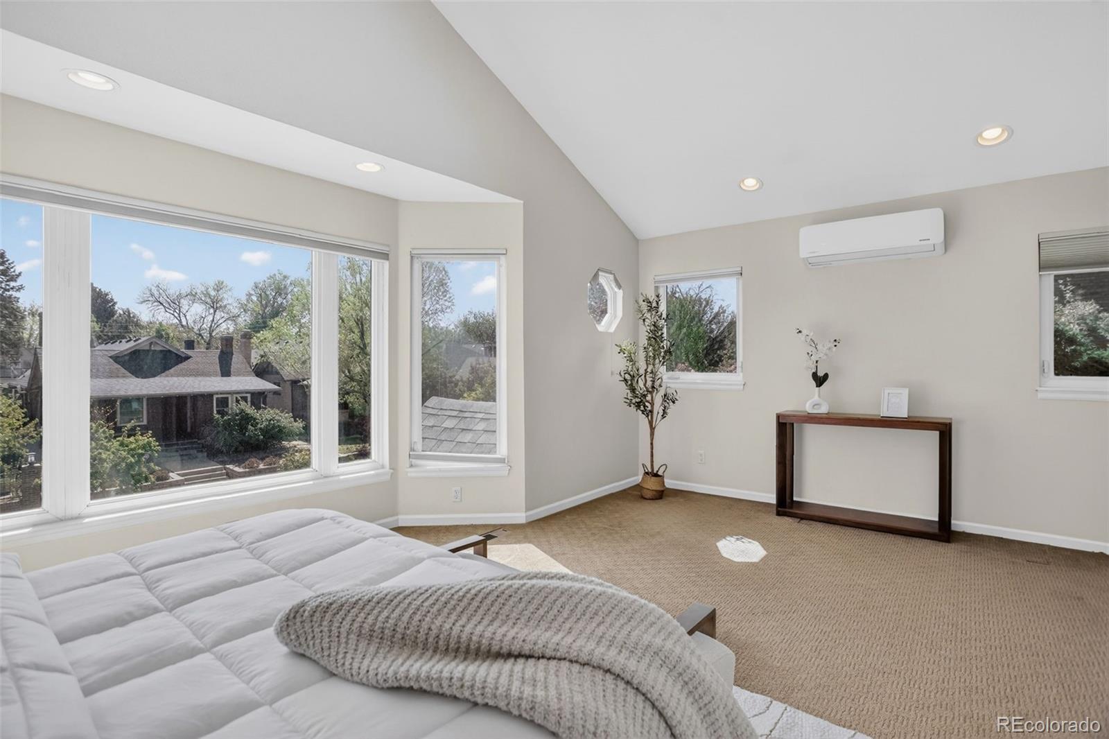 MLS Image #17 for 1123 n elizabeth street ,denver, Colorado