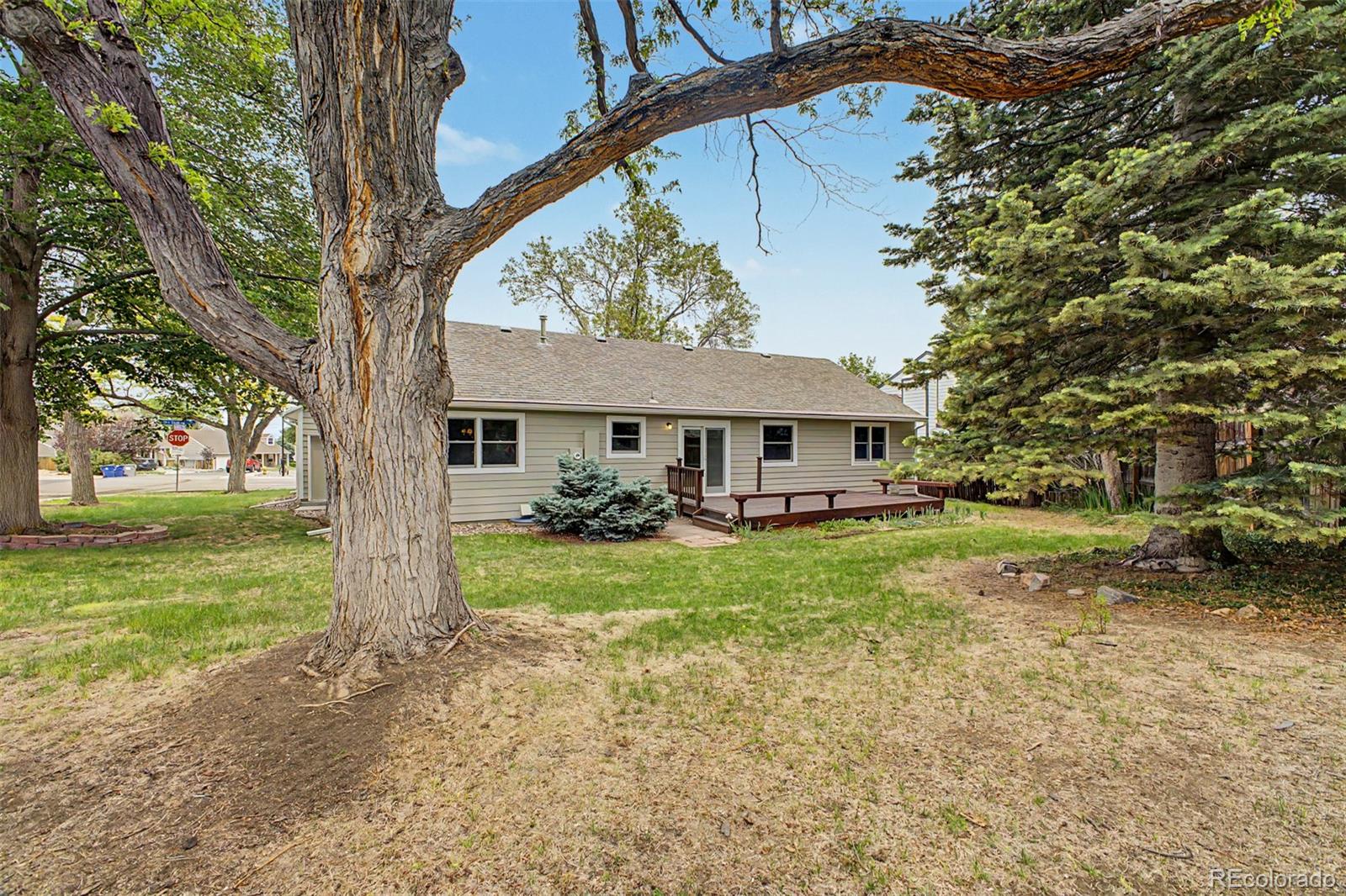 MLS Image #21 for 7072 s eudora street,centennial, Colorado