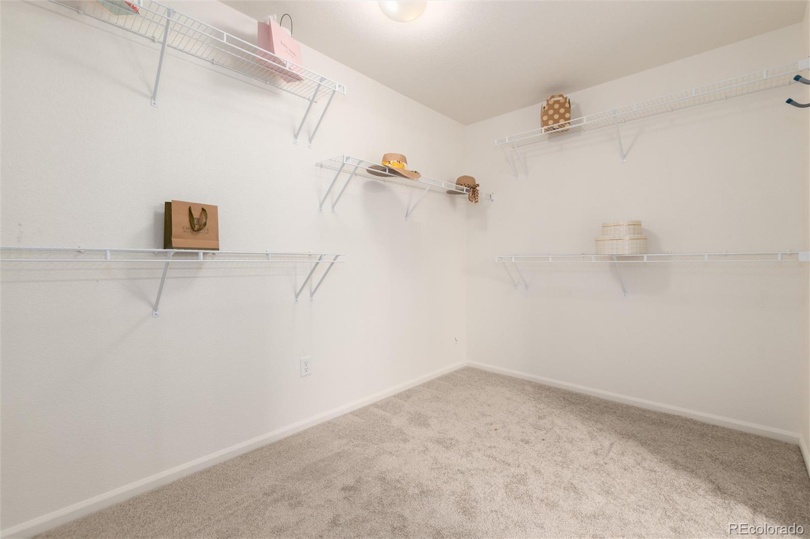 MLS Image #29 for 1879  quartz street,castle rock, Colorado