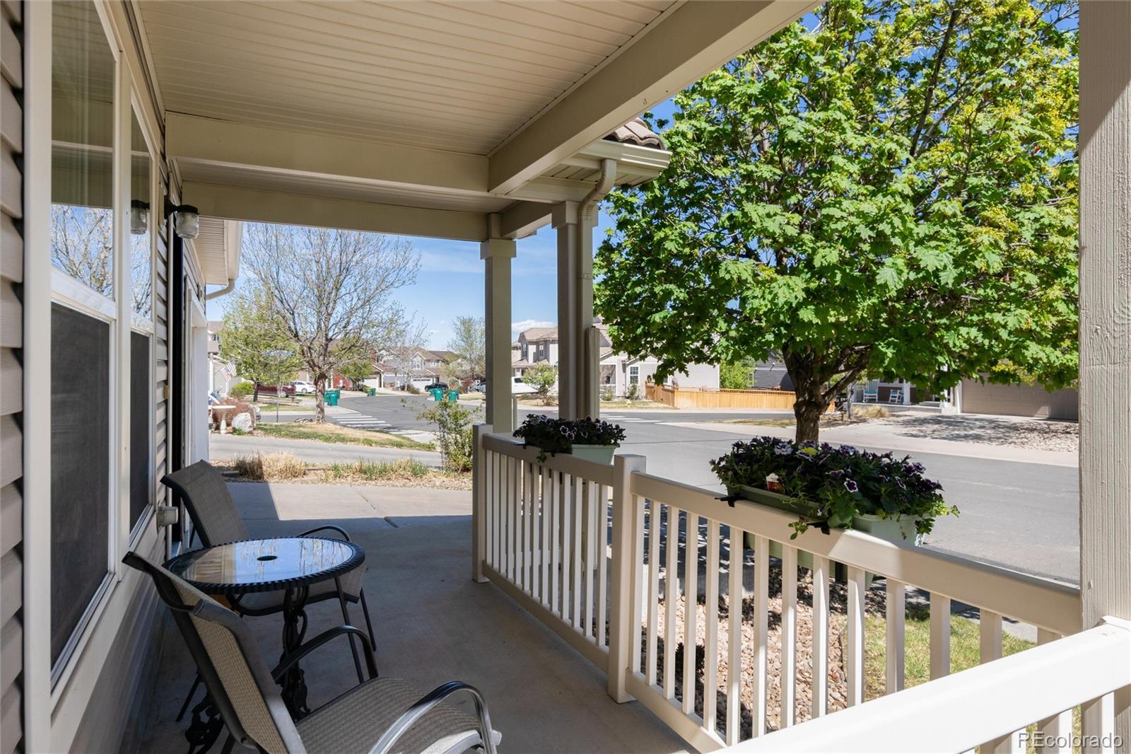 MLS Image #3 for 1879  quartz street,castle rock, Colorado