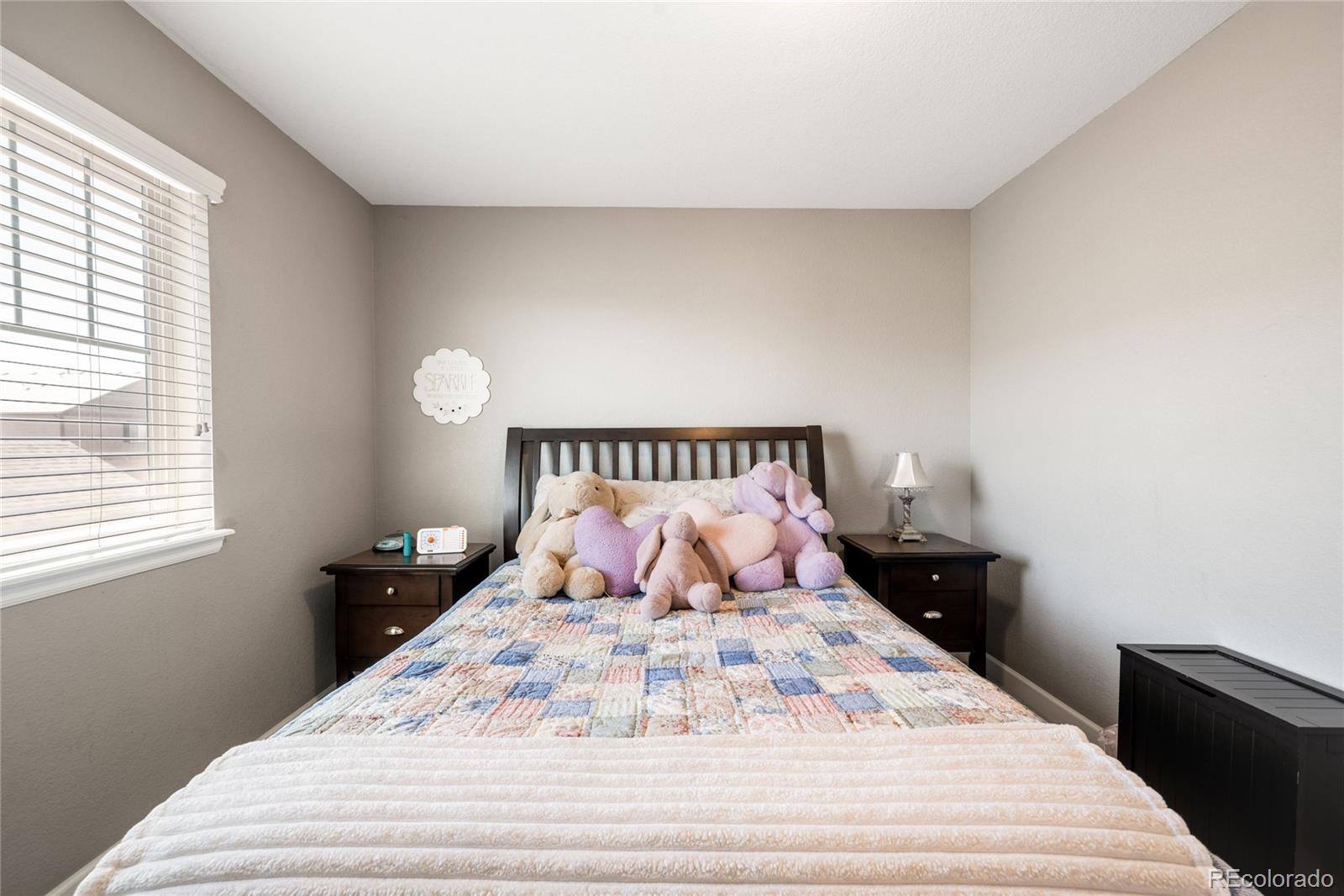 MLS Image #26 for 111 s jackson gap way,aurora, Colorado