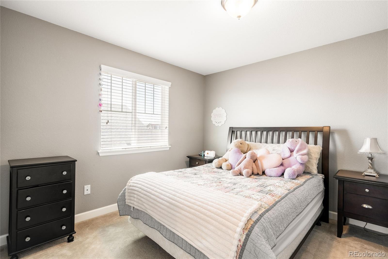 MLS Image #27 for 111 s jackson gap way,aurora, Colorado
