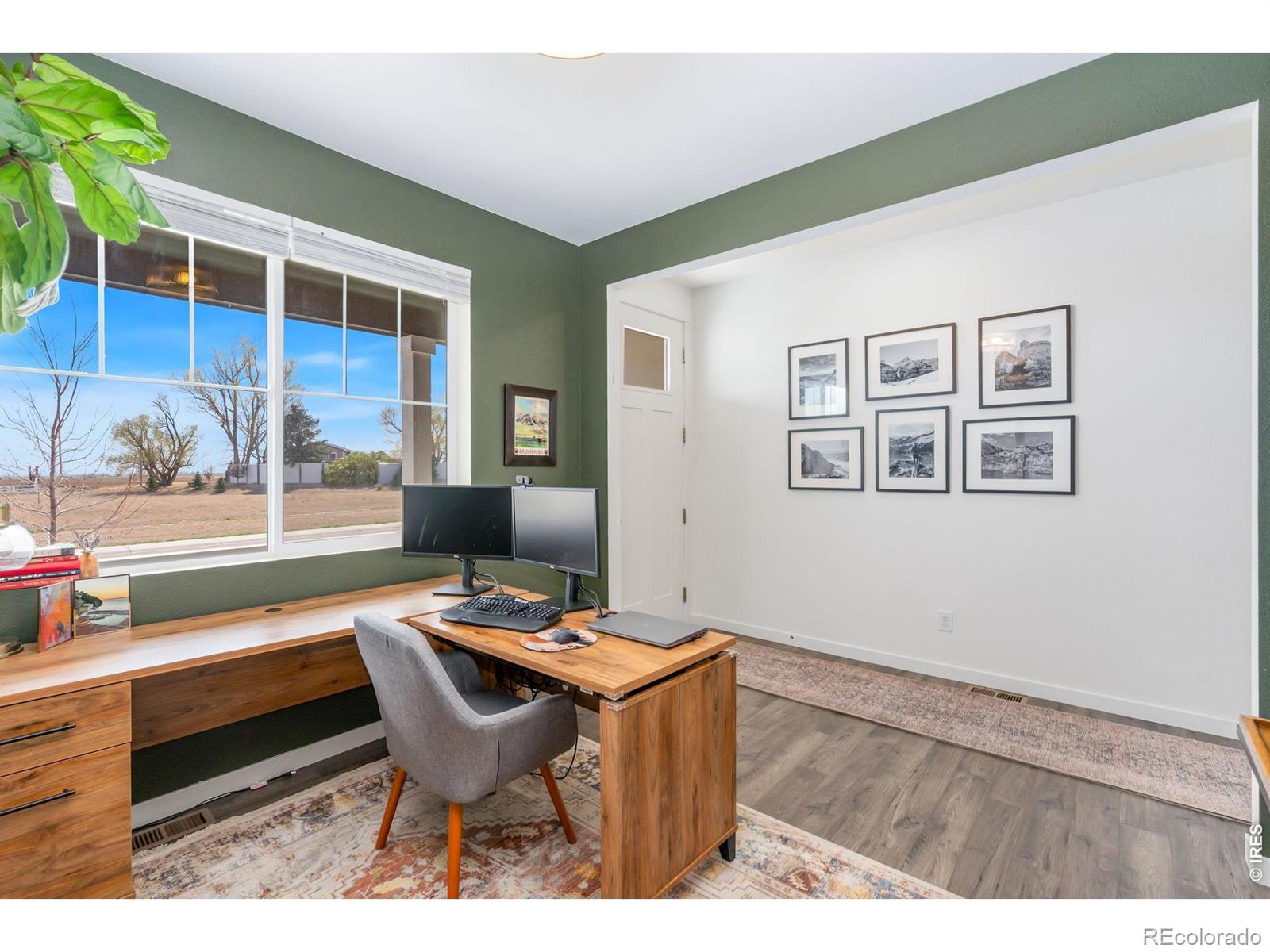 MLS Image #10 for 3746  foxbrush street,wellington, Colorado