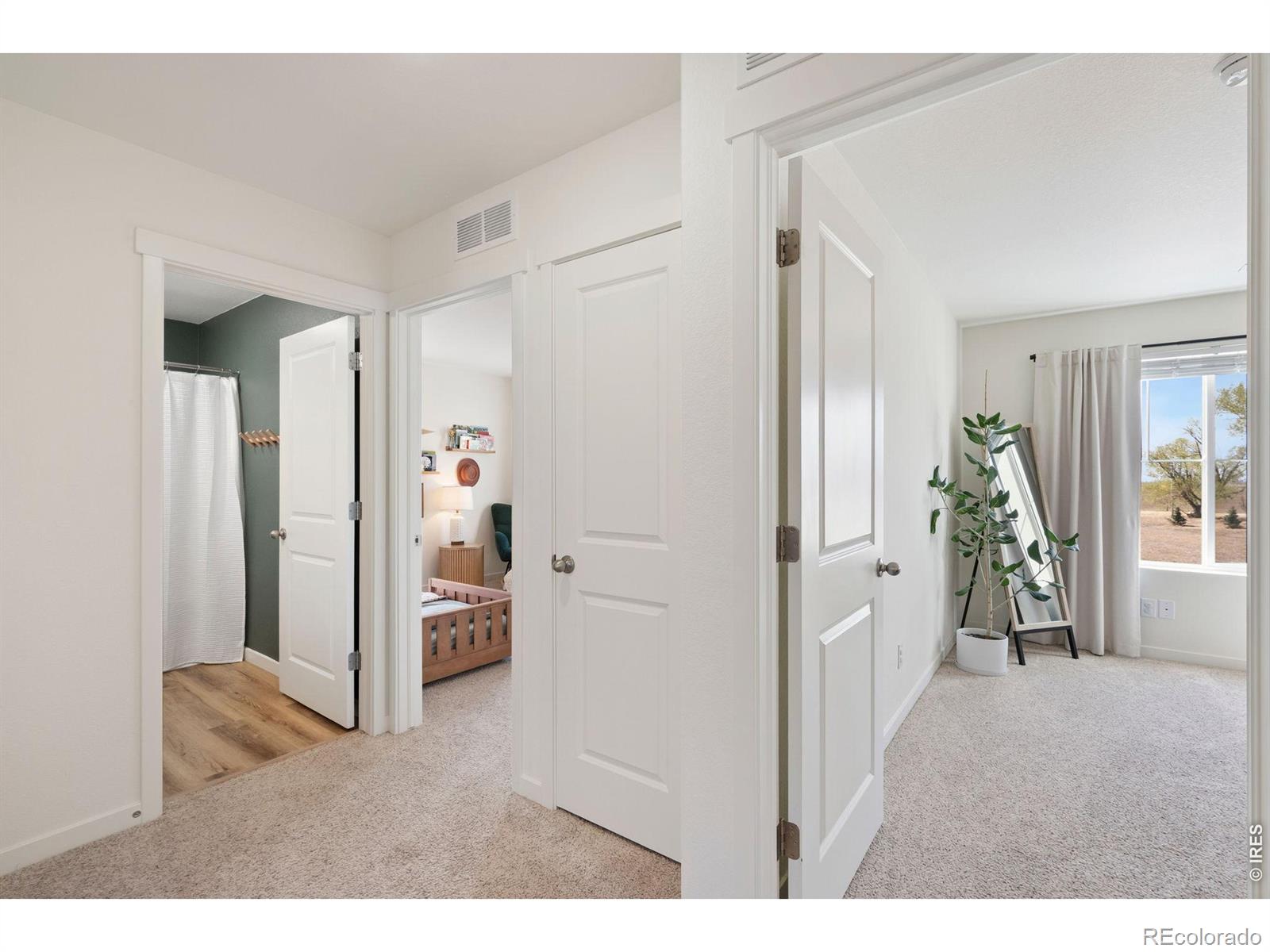 MLS Image #26 for 3746  foxbrush street,wellington, Colorado