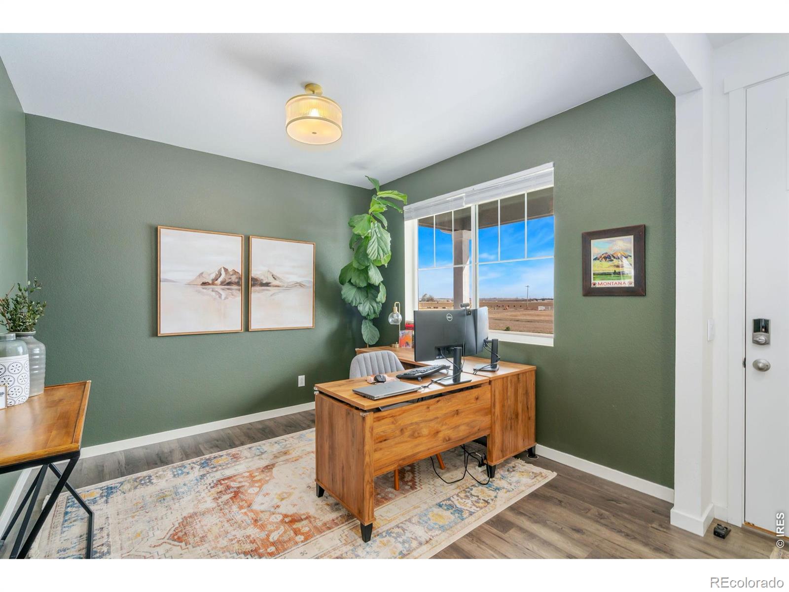 MLS Image #3 for 3746  foxbrush street,wellington, Colorado