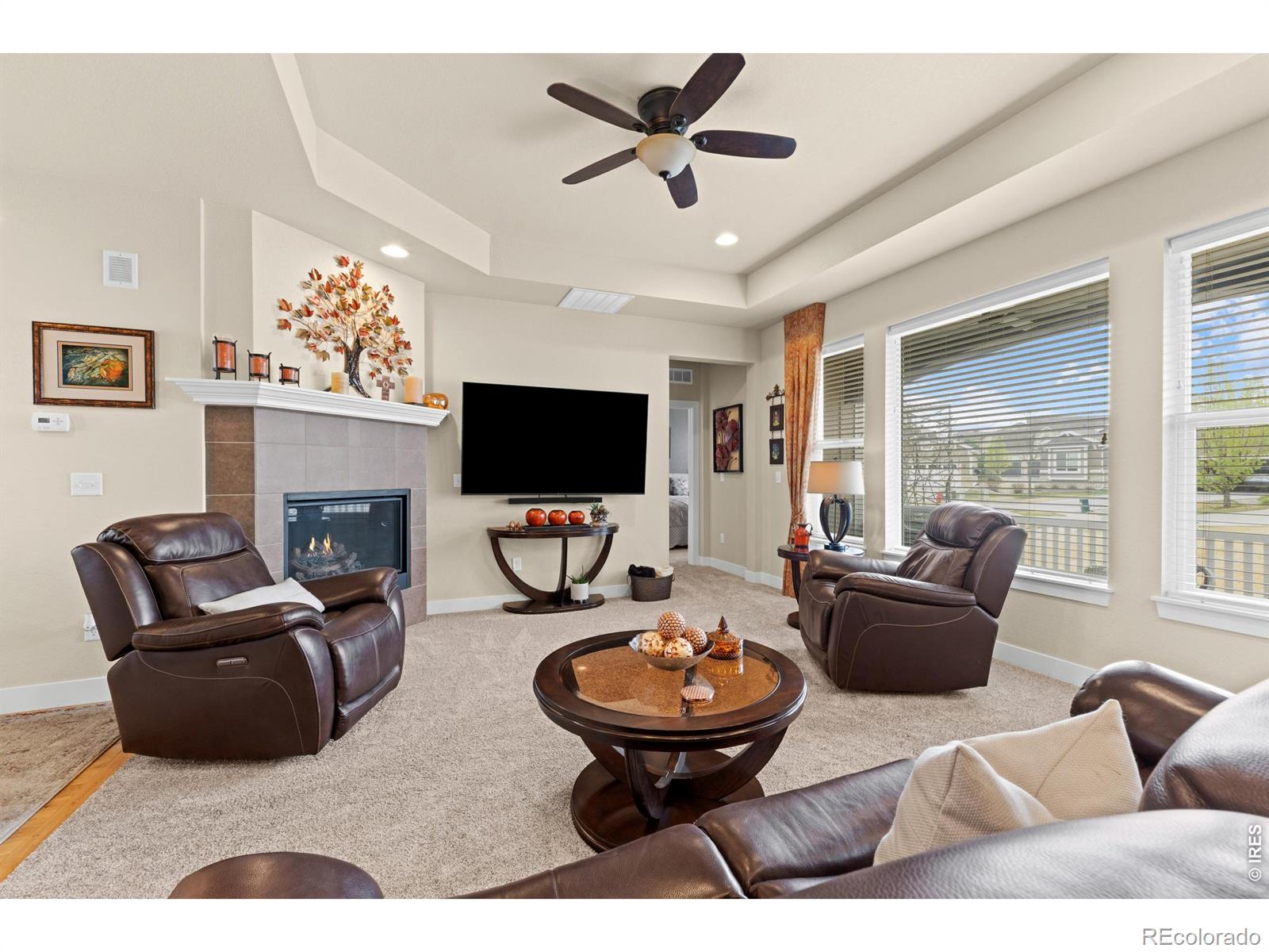 MLS Image #8 for 7902  river run drive,greeley, Colorado