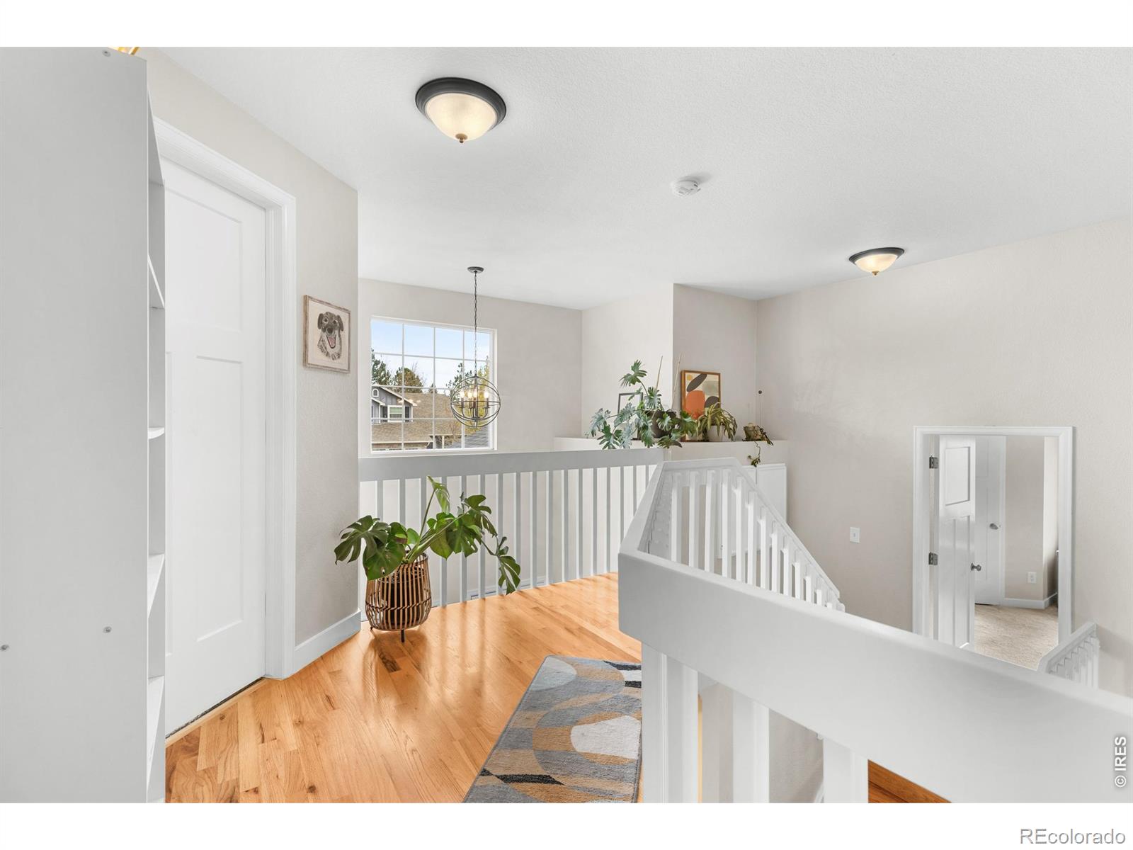 MLS Image #19 for 407  maplewood drive,erie, Colorado