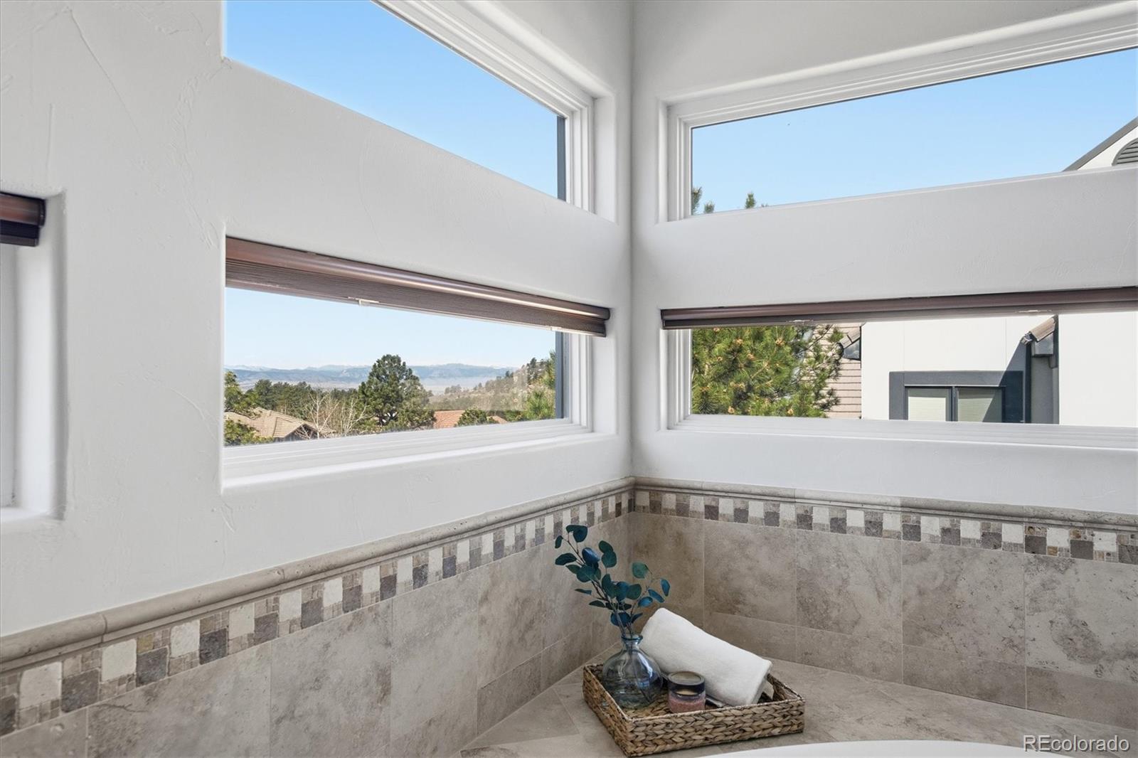 MLS Image #17 for 4788  silver pine drive,castle rock, Colorado