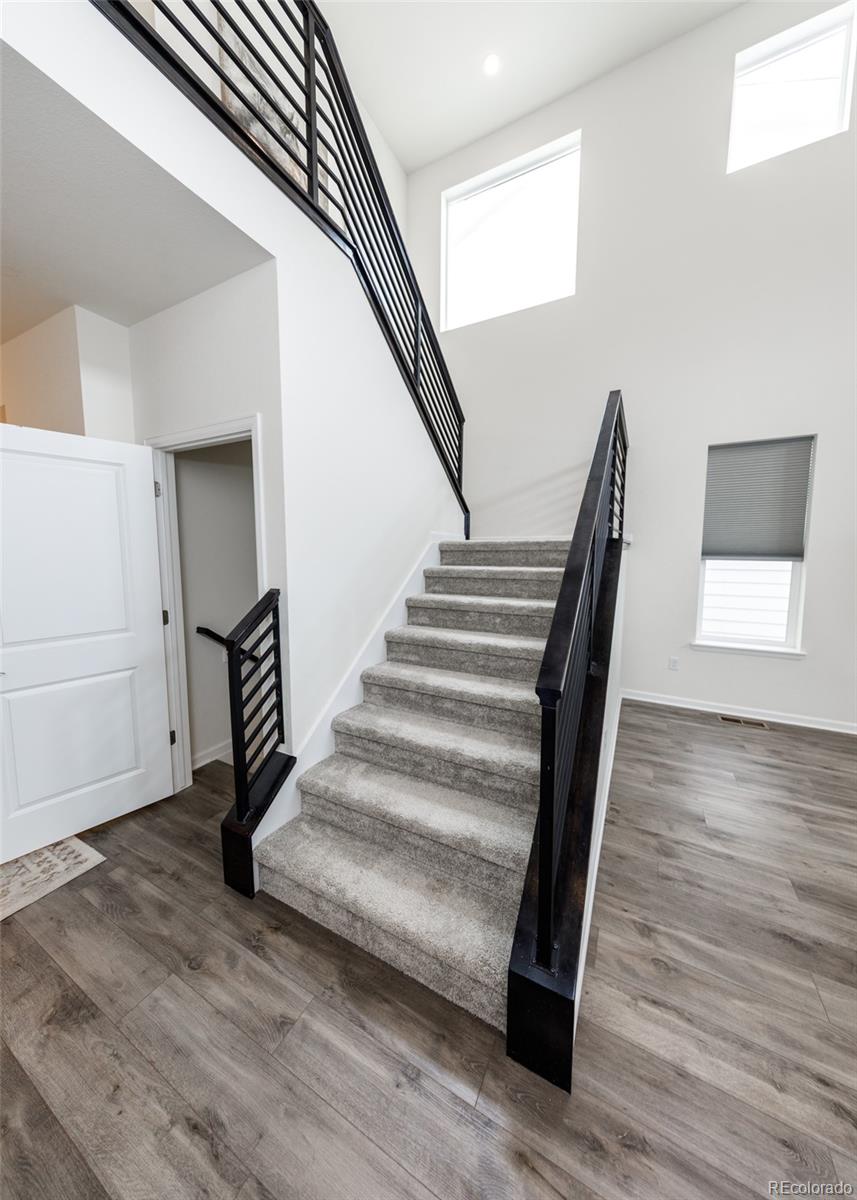 MLS Image #30 for 110  kitselman drive,castle rock, Colorado