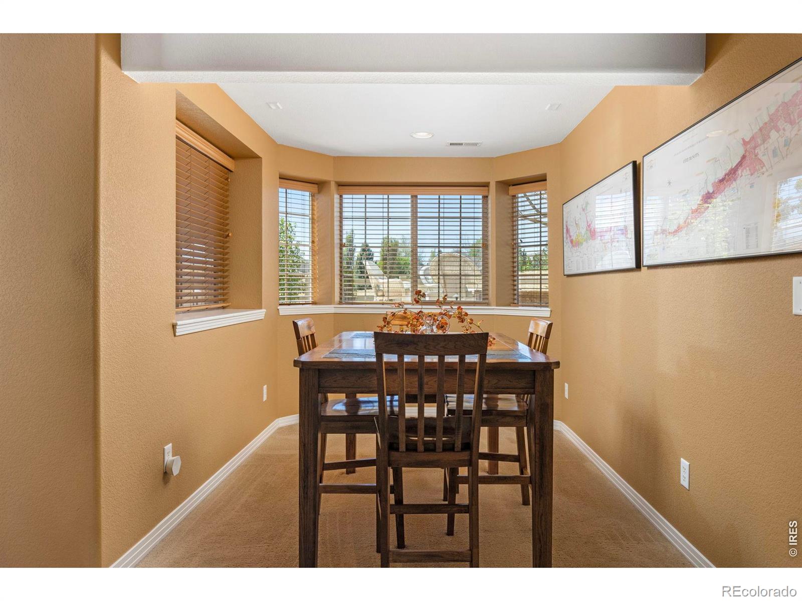 MLS Image #22 for 14133  reserve place,broomfield, Colorado