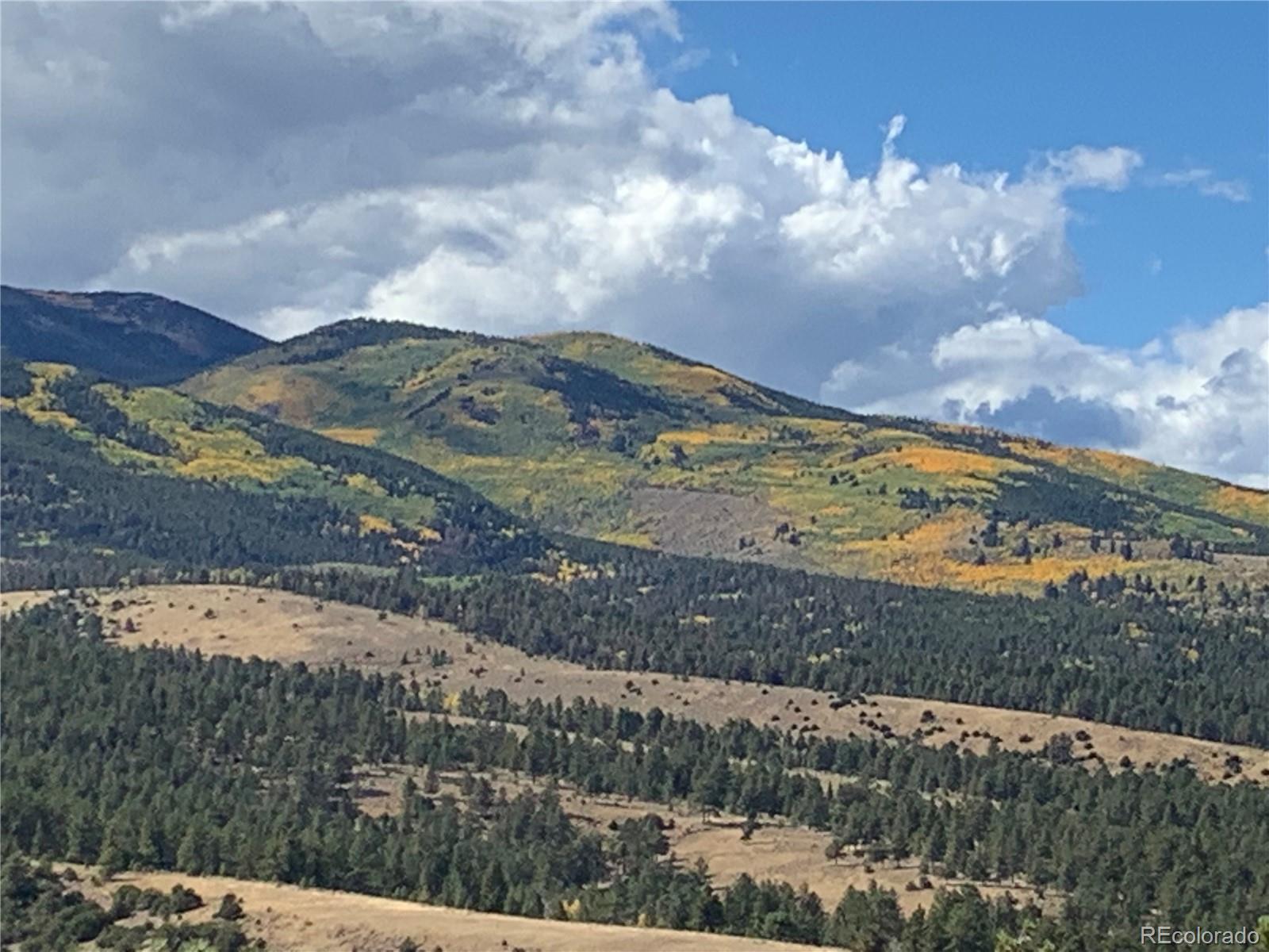 MLS Image #45 for 1041  county road 200 ,poncha springs, Colorado