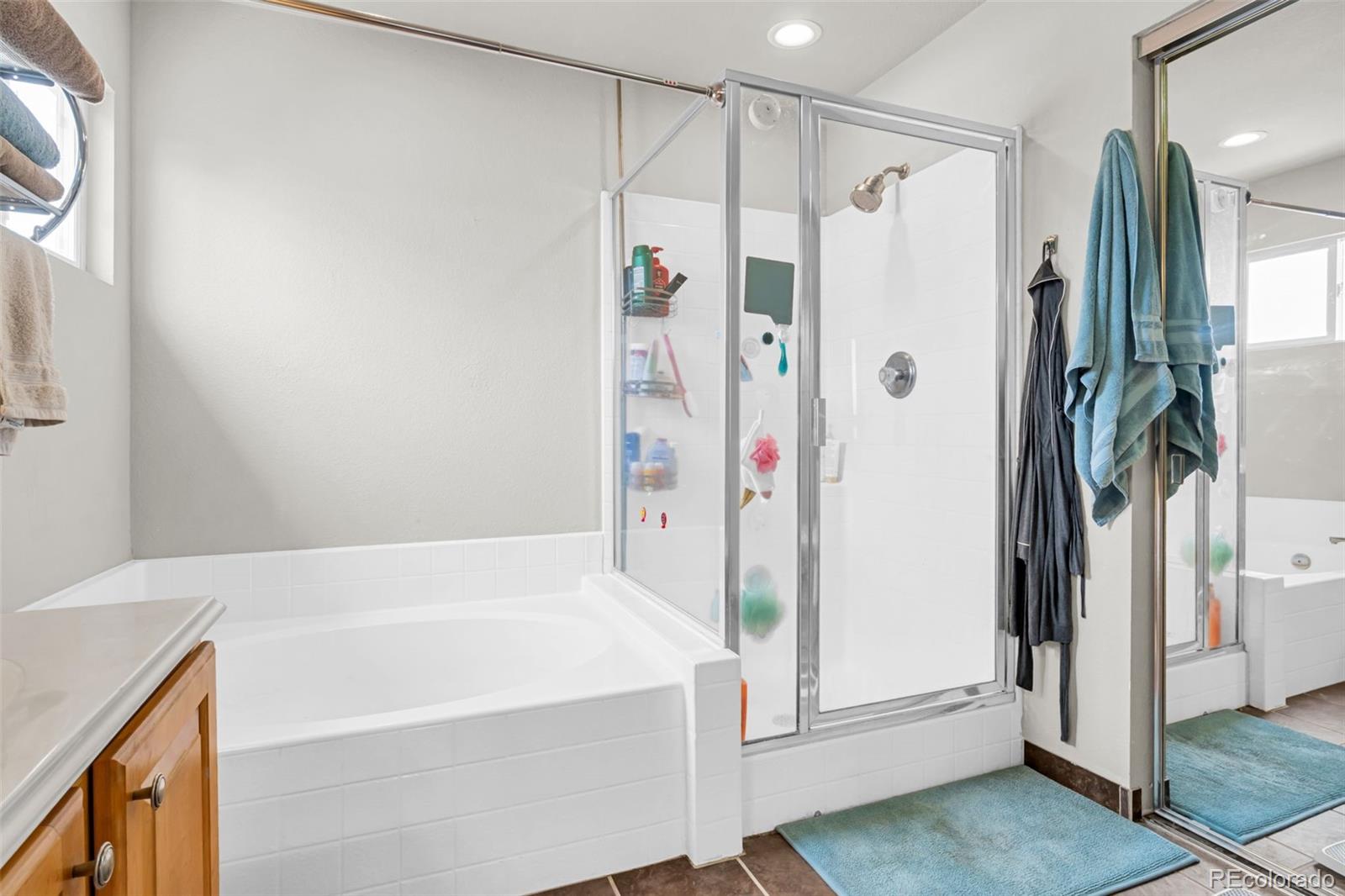 MLS Image #12 for 19531 e 40th place,denver, Colorado