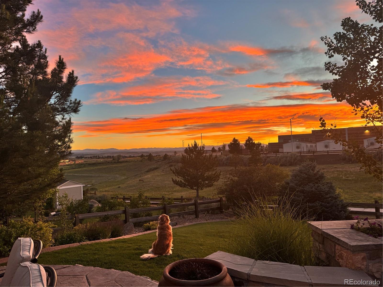 MLS Image #1 for 23001  cleveland drive,parker, Colorado