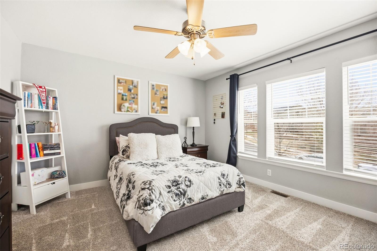 MLS Image #29 for 23001  cleveland drive,parker, Colorado
