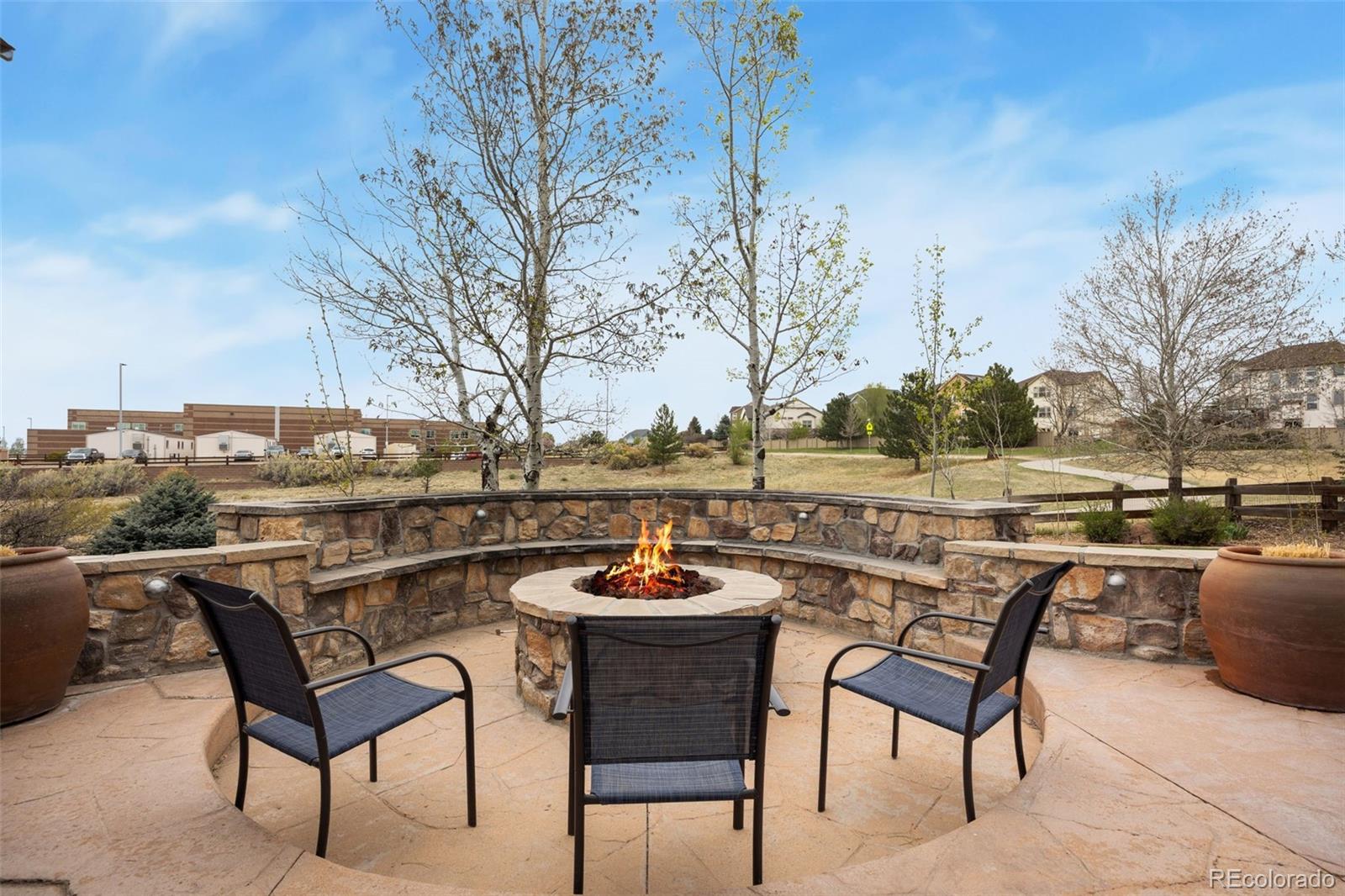 MLS Image #3 for 23001  cleveland drive,parker, Colorado