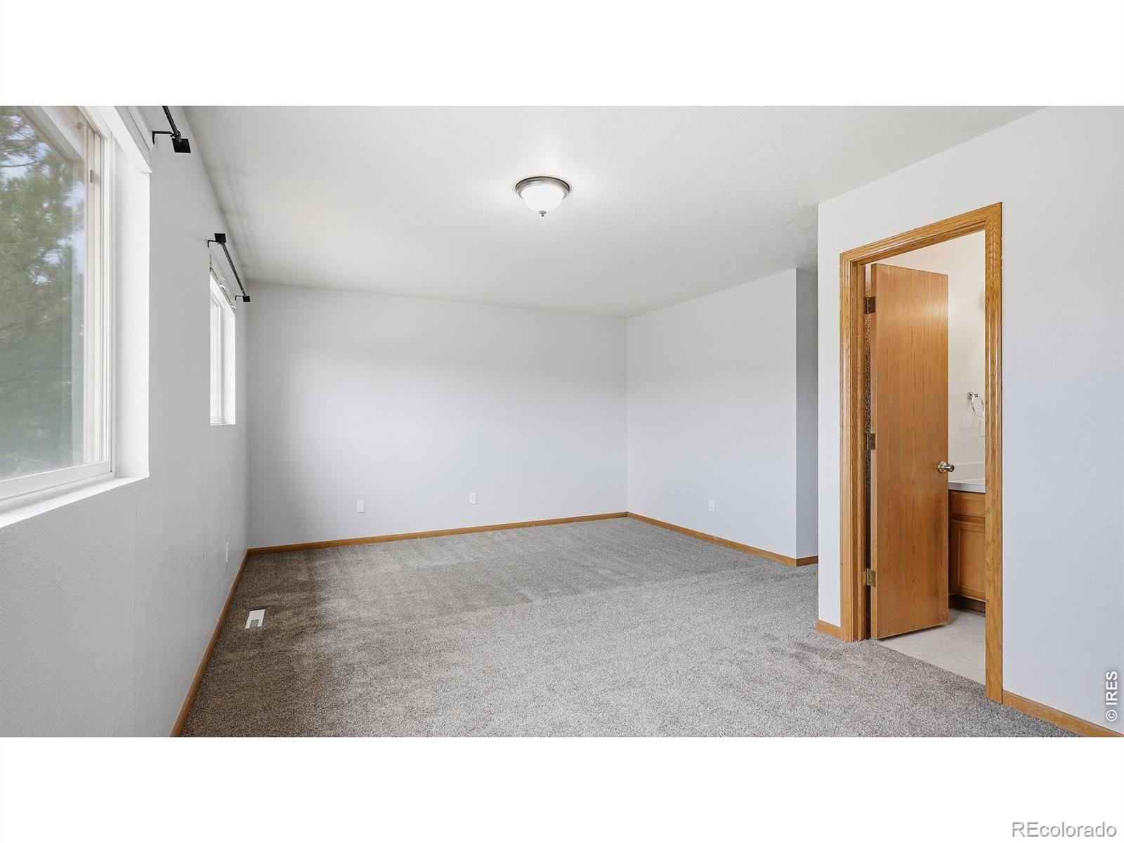 MLS Image #17 for 705  apple court,windsor, Colorado