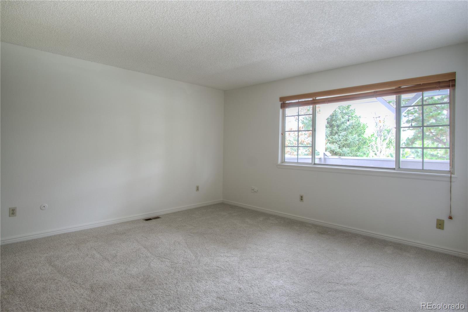 MLS Image #13 for 10385  red mountain,littleton, Colorado