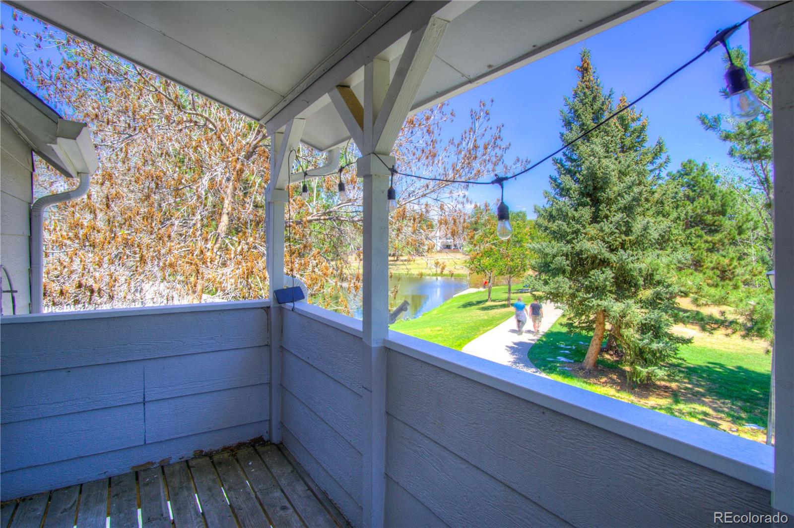 MLS Image #17 for 10385  red mountain,littleton, Colorado