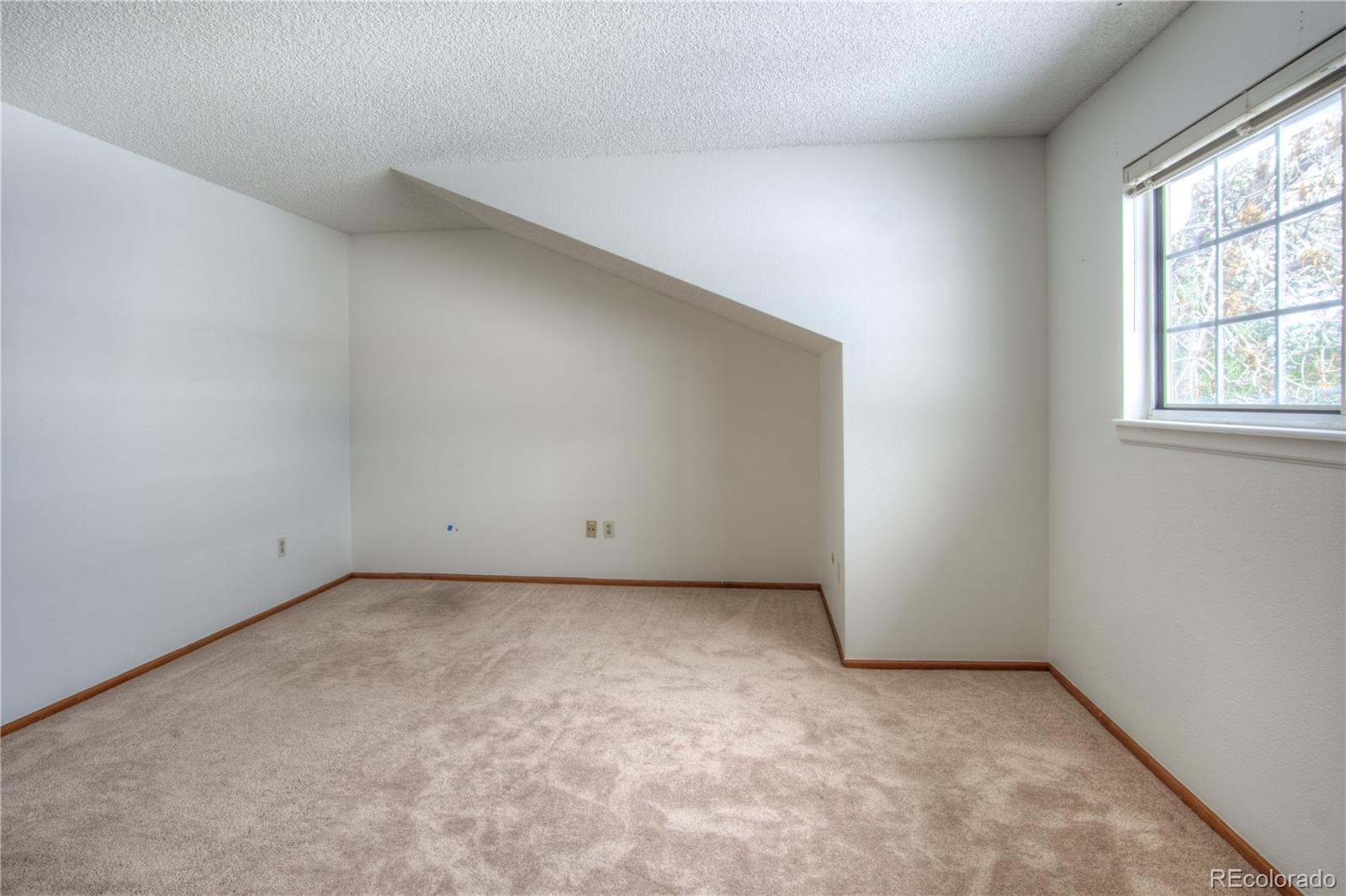 MLS Image #23 for 10385  red mountain,littleton, Colorado