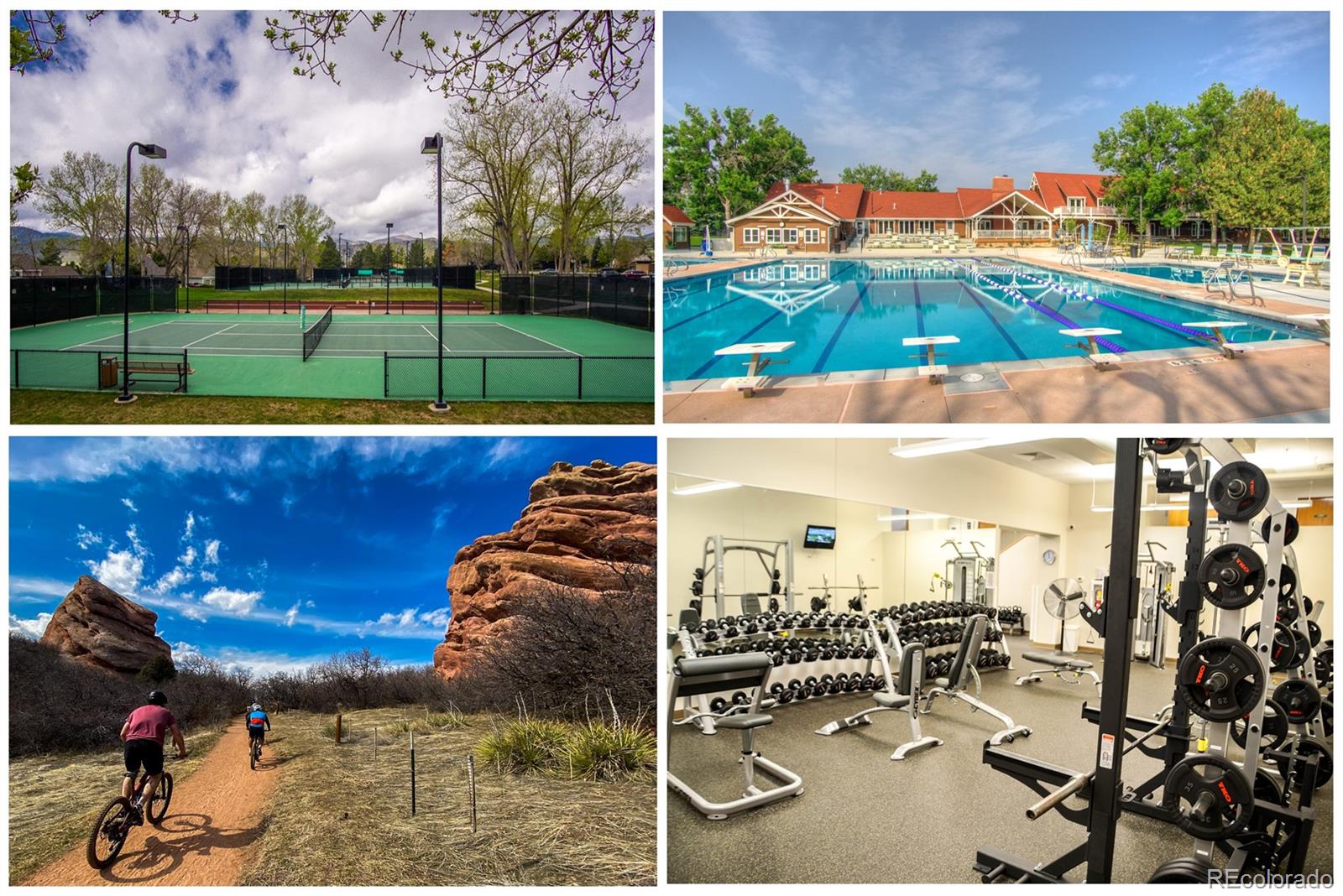 MLS Image #46 for 10385  red mountain,littleton, Colorado